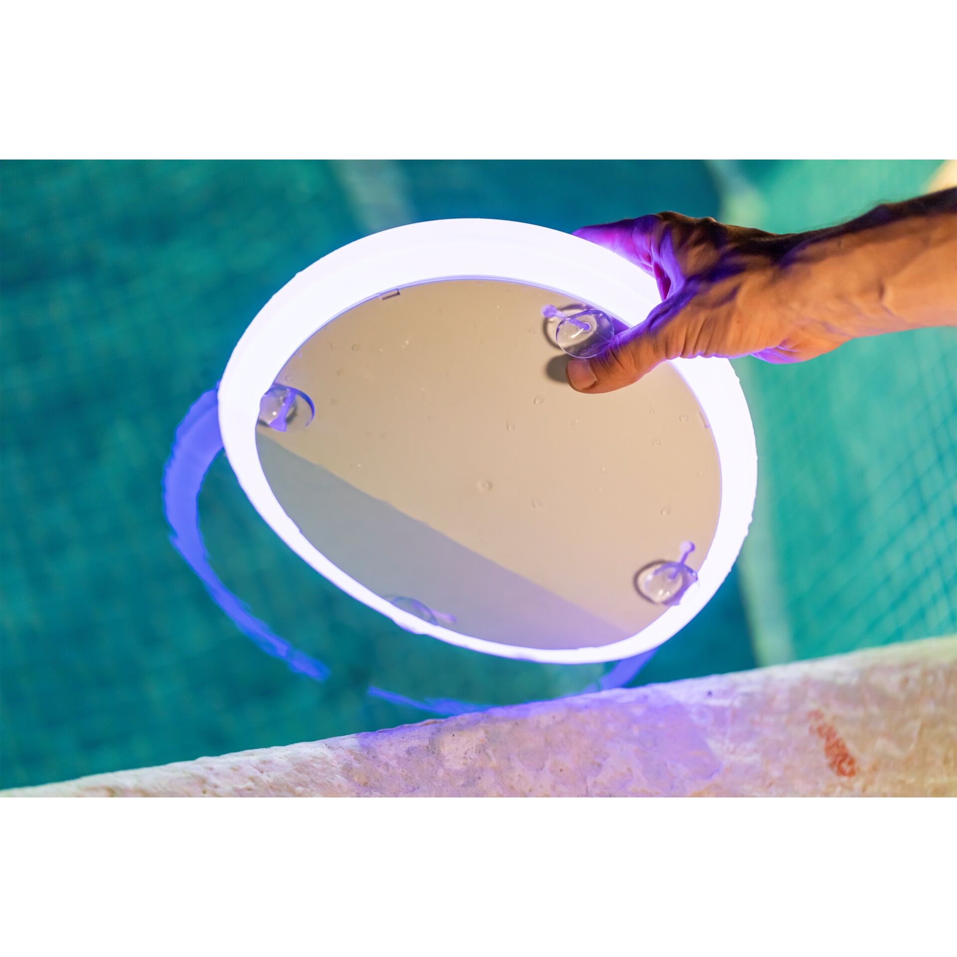 Drinnen, Innenarchitektur, Tier, Vogel