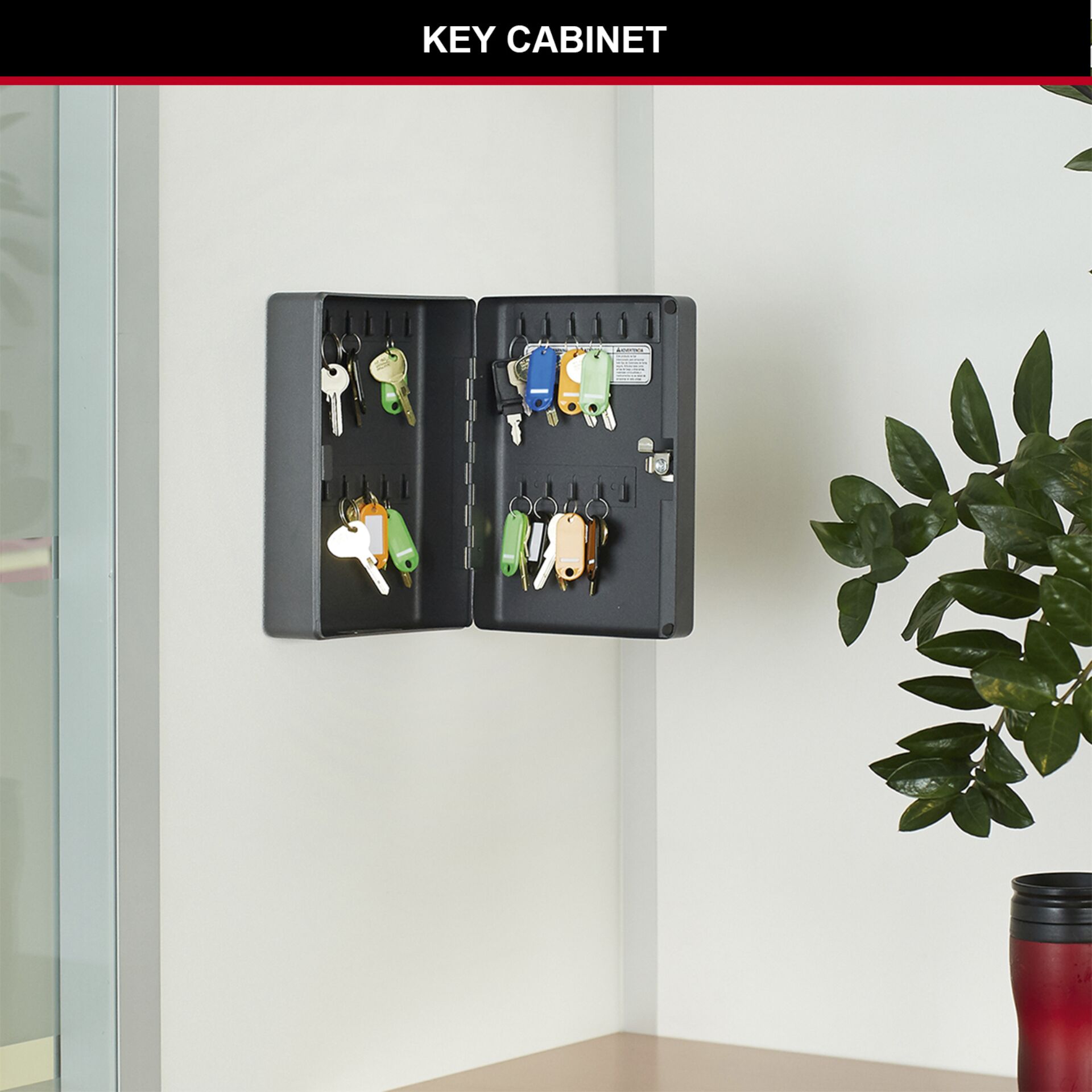 Pflanze, Pflanze im Topf