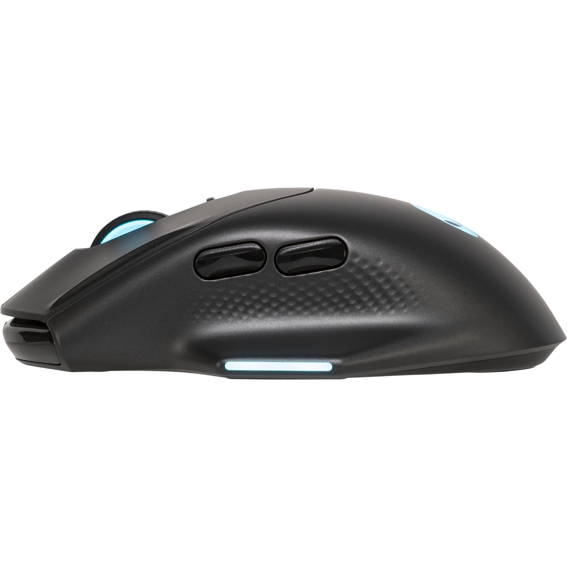 Computerausrüstung, Elektronik, Hardware, Maus