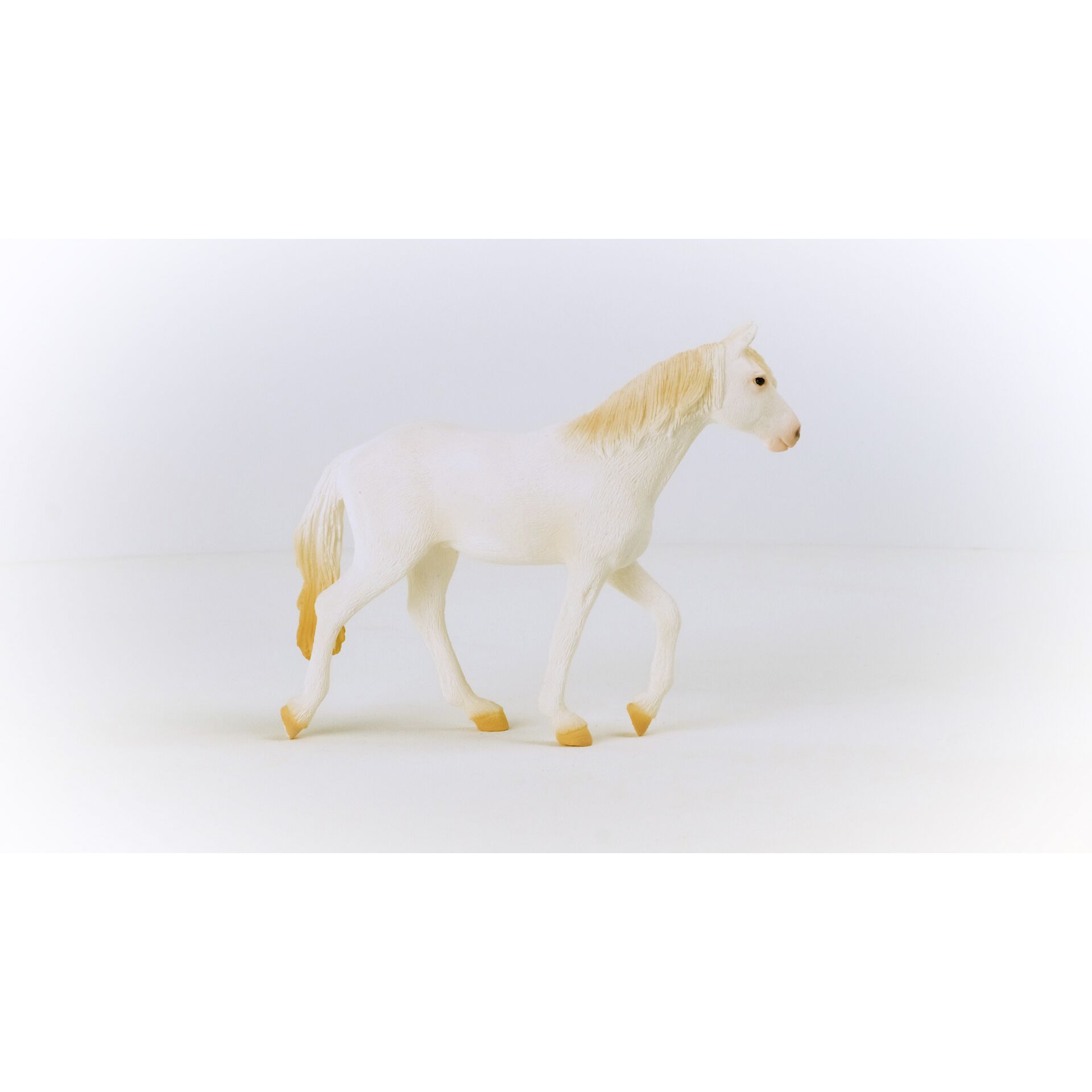 Tier, Pferd, Säugetier, Colt Horse