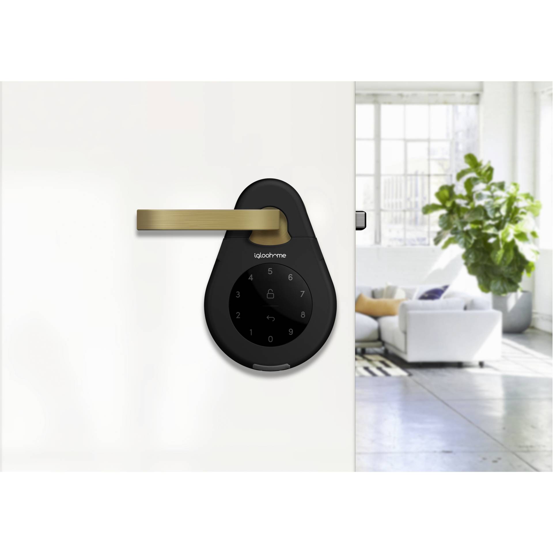 Drinnen, Innenarchitektur, Pflanze, Pflanze im Topf