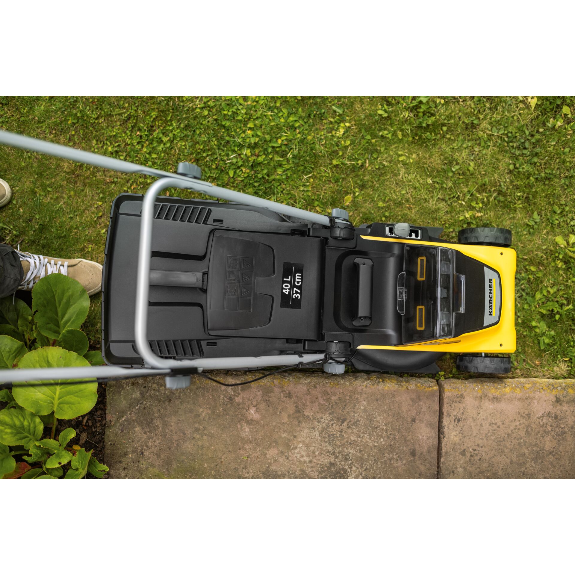 Gras, Rasen, Pflanze, Gerät, Rasenmäher