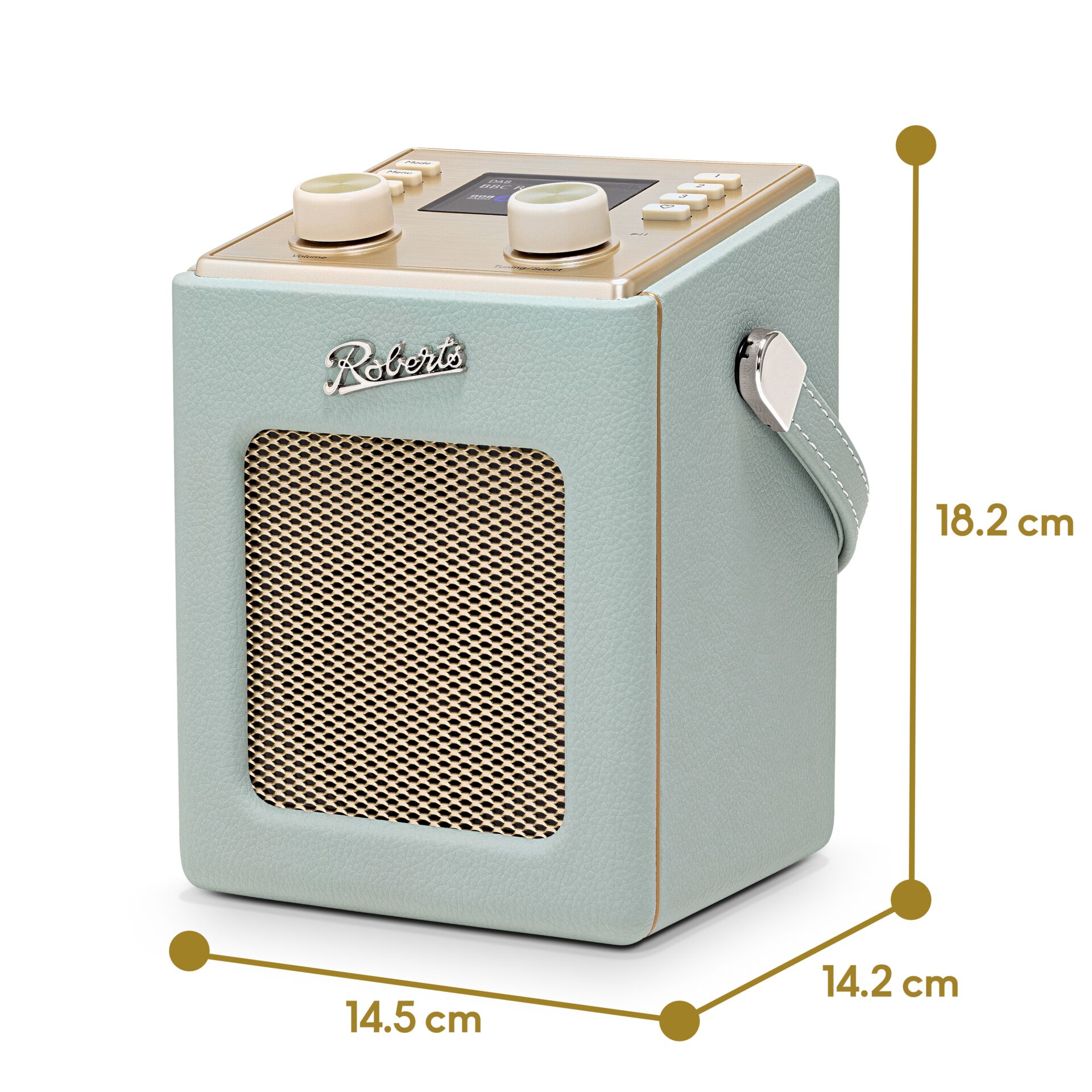 Tragbares Radio, Bluetooth-Lautsprecher, Mintgrün, Lederoptik, Tragegurt
