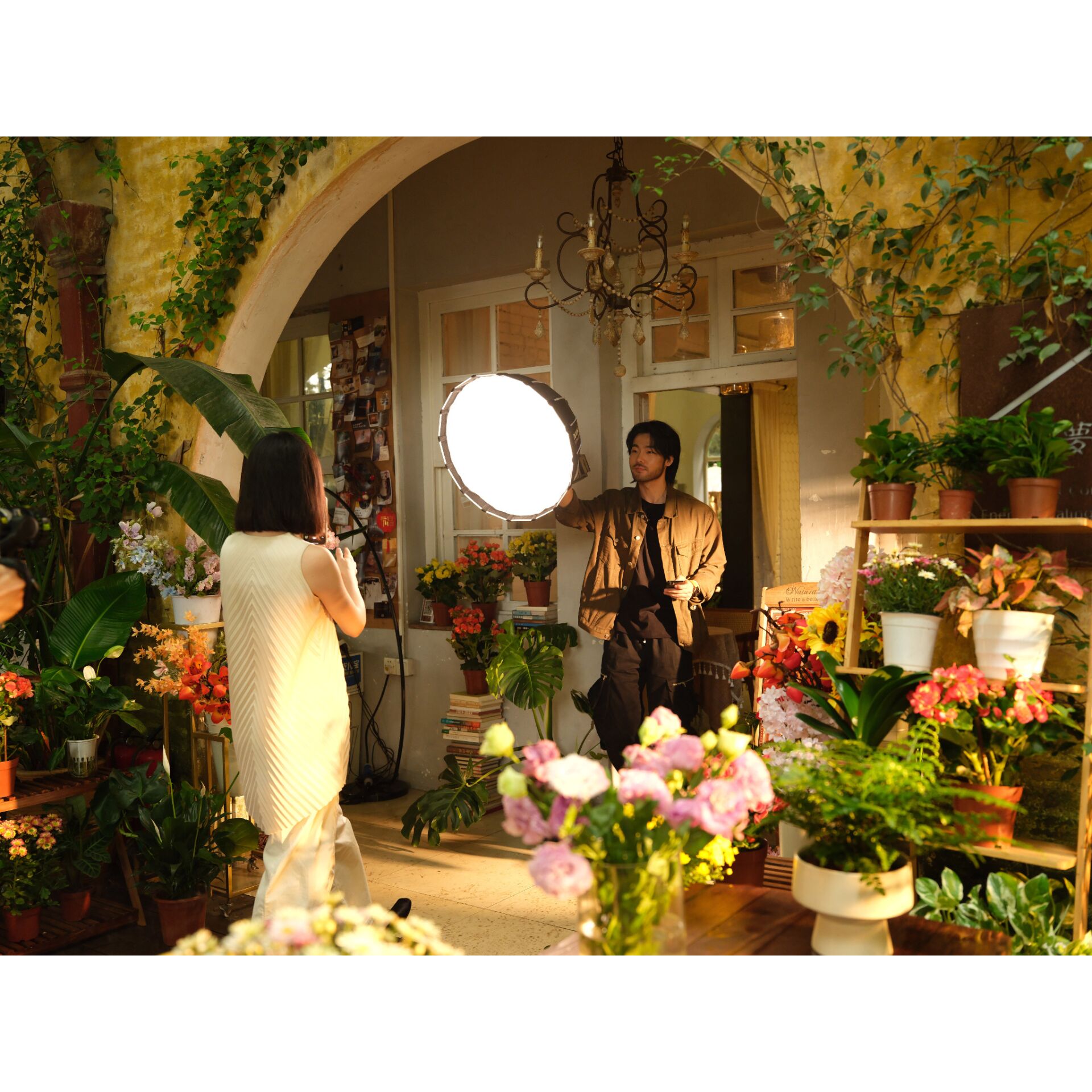 Blume, Blumen-Arrangement, Topfpflanze, Blumenstrauß, Fotografie