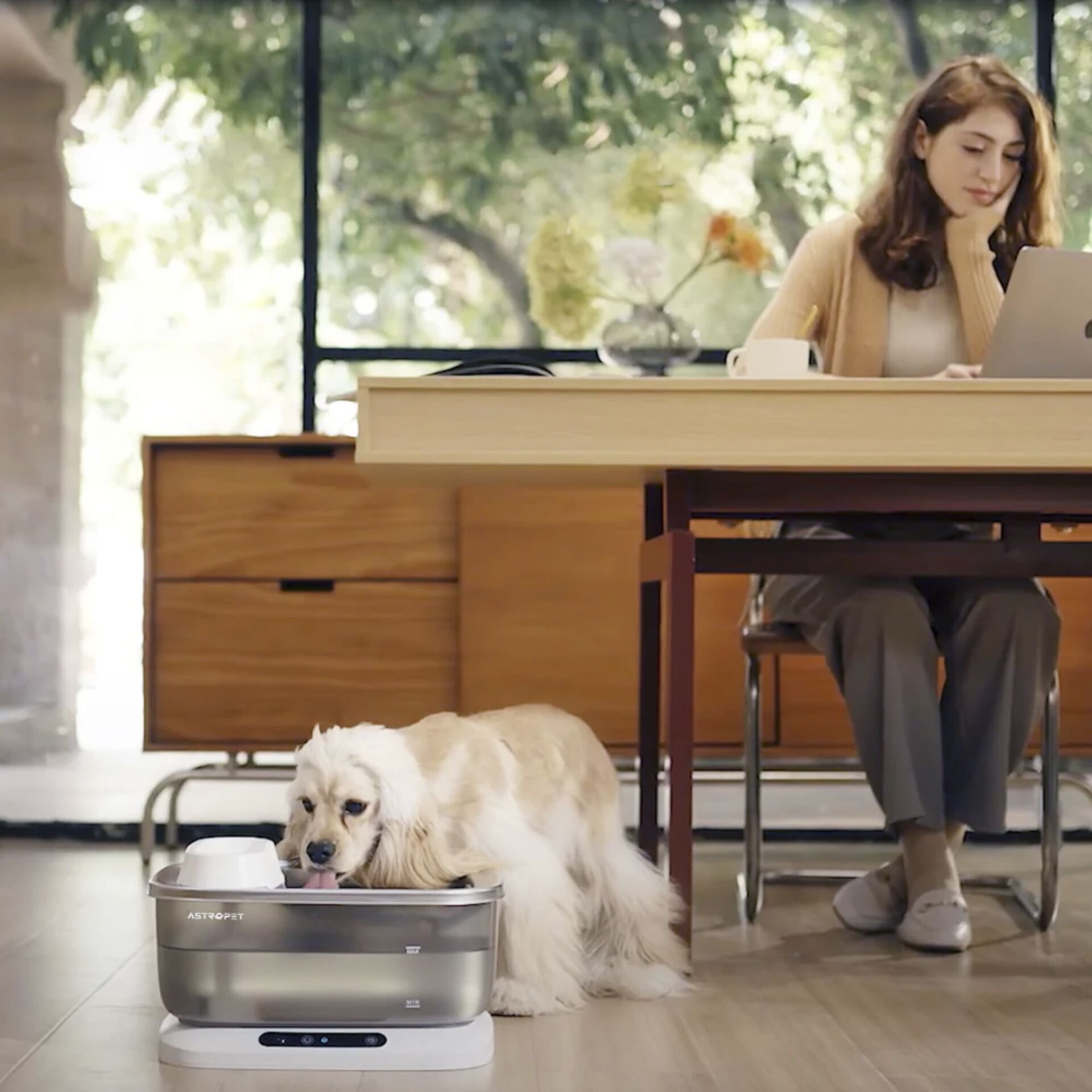 Moebel, Tabelle, Schreibtisch, Sitzen, Hund, Moebel, Tabelle, Schreibtisch, Sitzen, Hund, Moebel, Tabelle, Schreibtisch, Sitzen, Hund, Moebel, Tabelle, Schreibtisch, Sitzen, Hund, Moebel, Tabelle, Schreibtisch, Sitzen, Hund