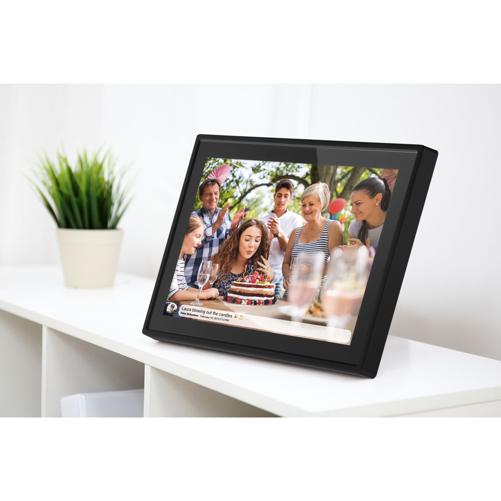 Hardware, Überwachen, Bildschirm, Fotorahmen, Pflanze