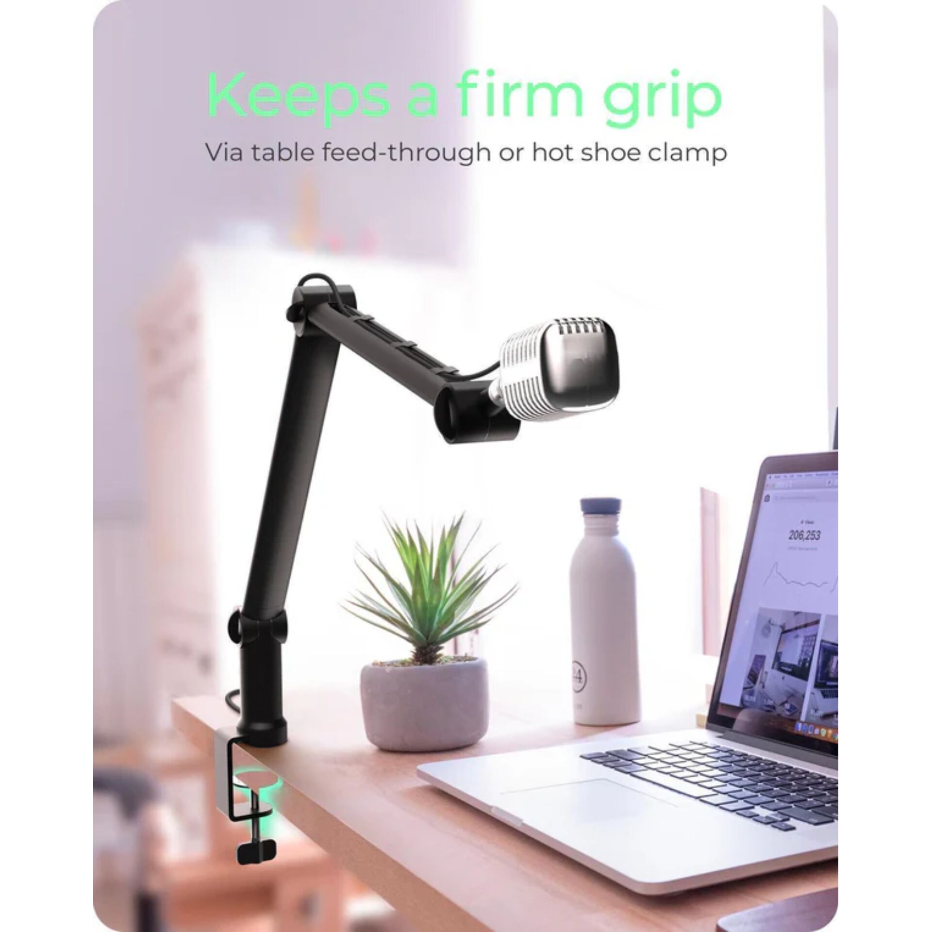 mikrofon, Computer-Tastatur, Laptop, Pflanze, Überwachen