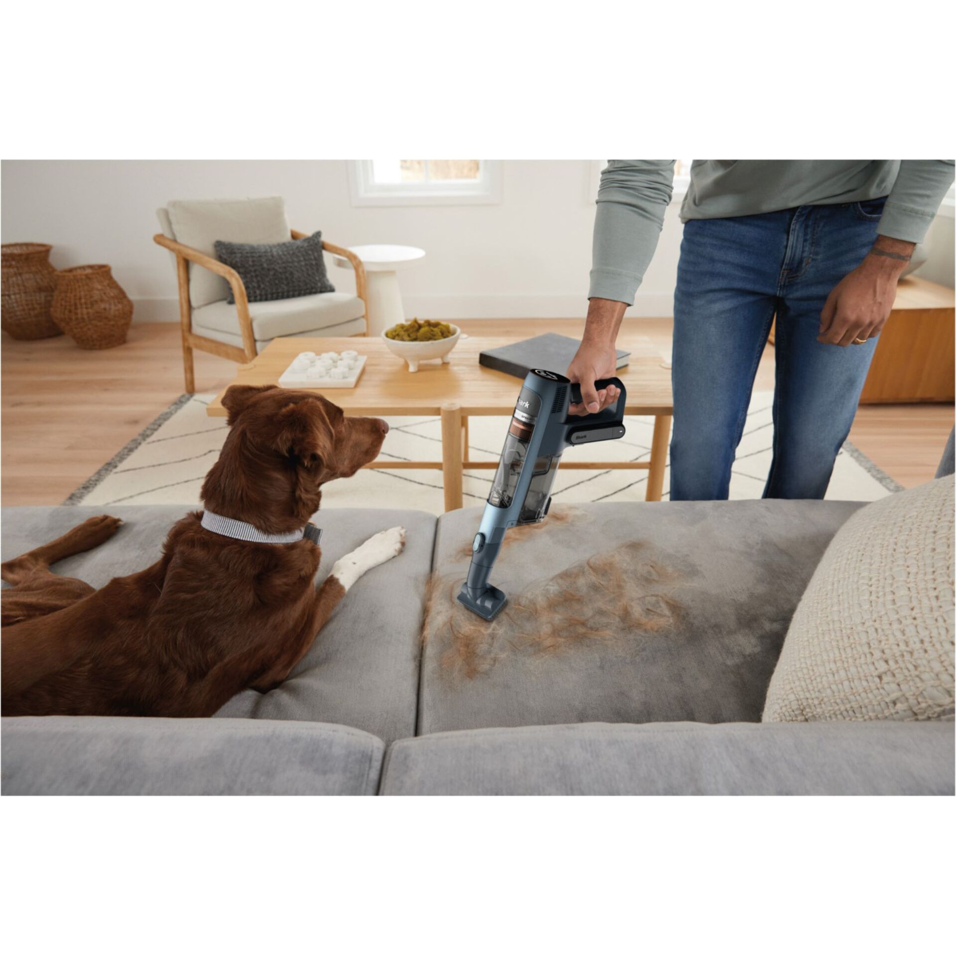 Kunststoff Staubsauger, Akku-Staubsauger, Bodenreinigung, Tierhaare entfernen, Wohnzimmer