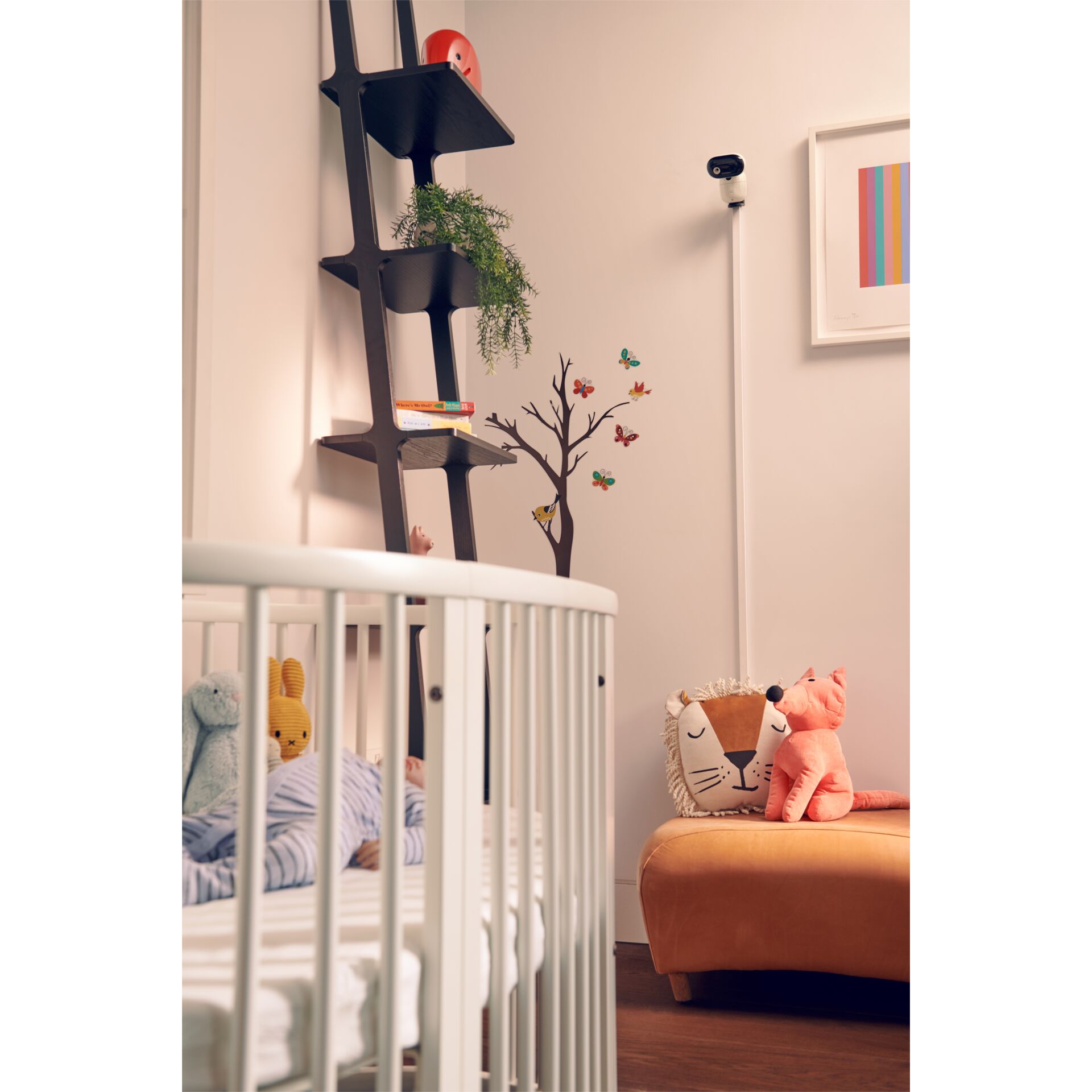 Krippe, Mobiliar, Bett für Säuglinge, Drinnen, Innenarchitektur