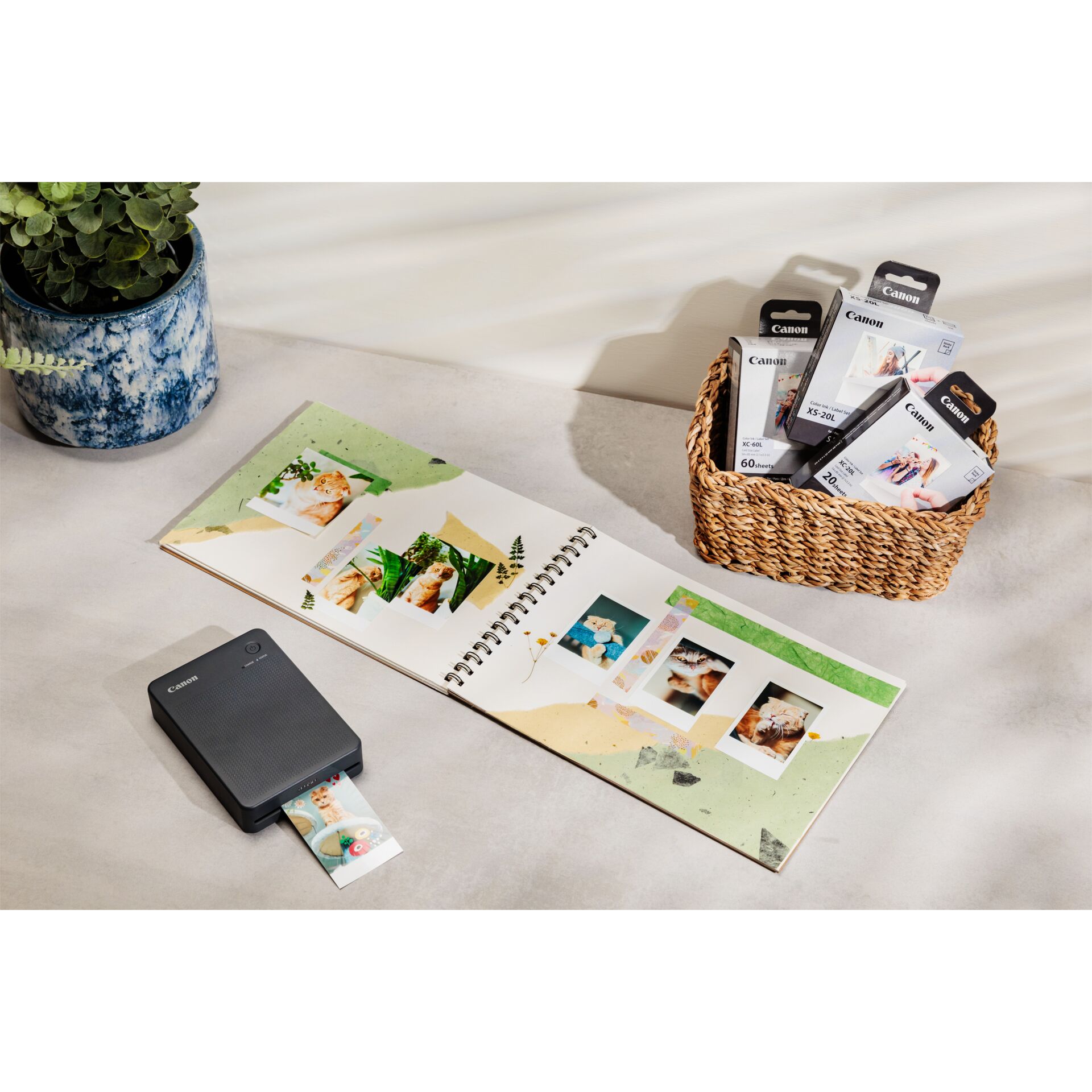 Pflanze, Elektronik, Telefon, Handy