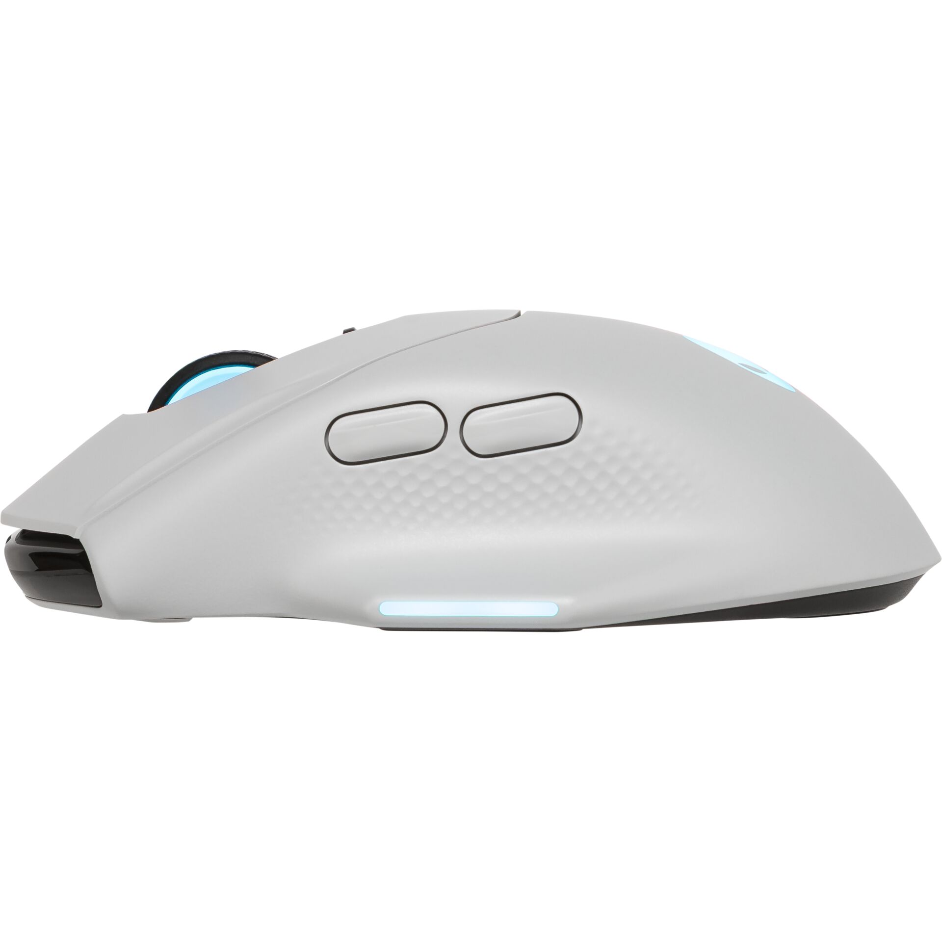 Computerausrüstung, Elektronik, Hardware, Maus