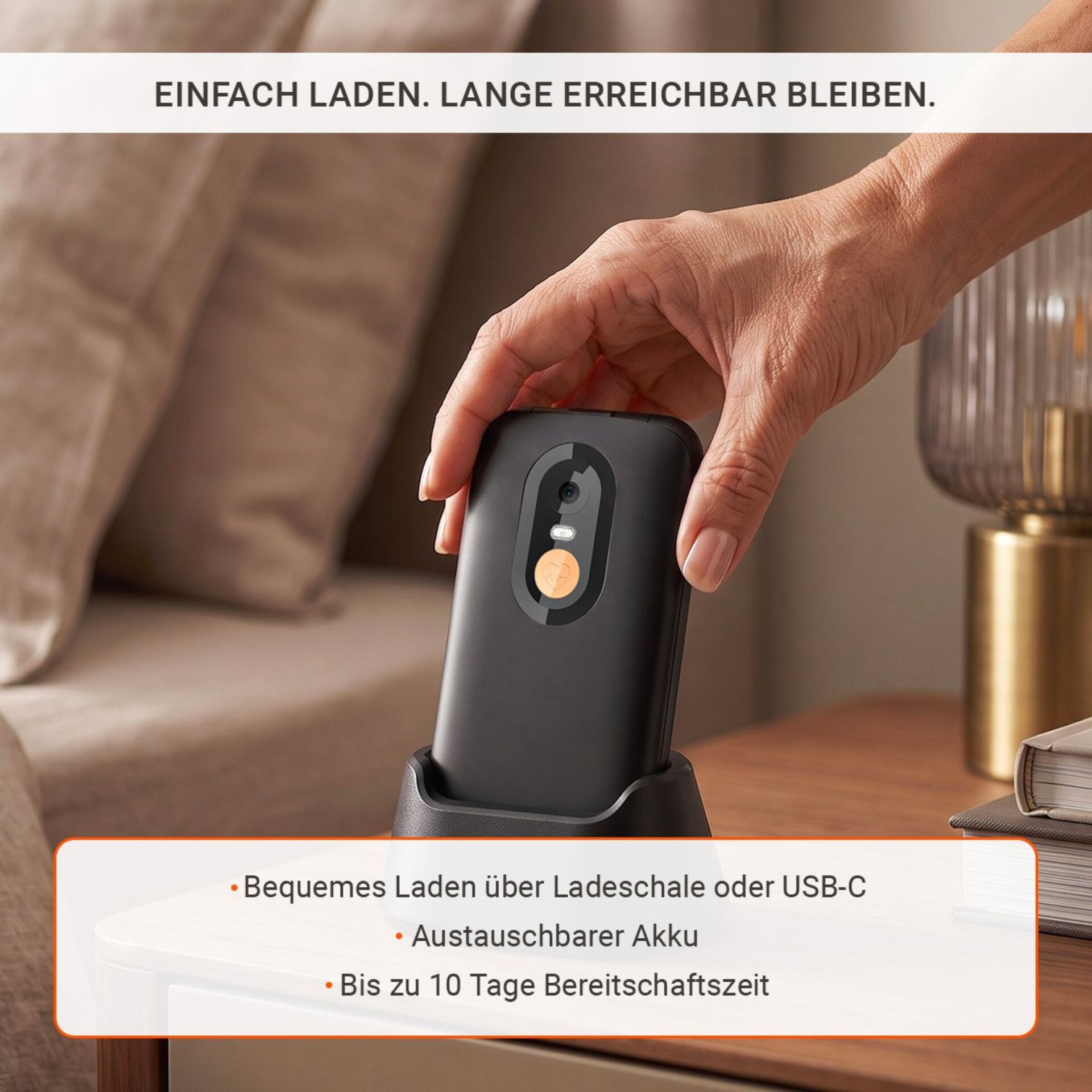 Ladegerät, Ladestation, USB-C, Akku, Batterie