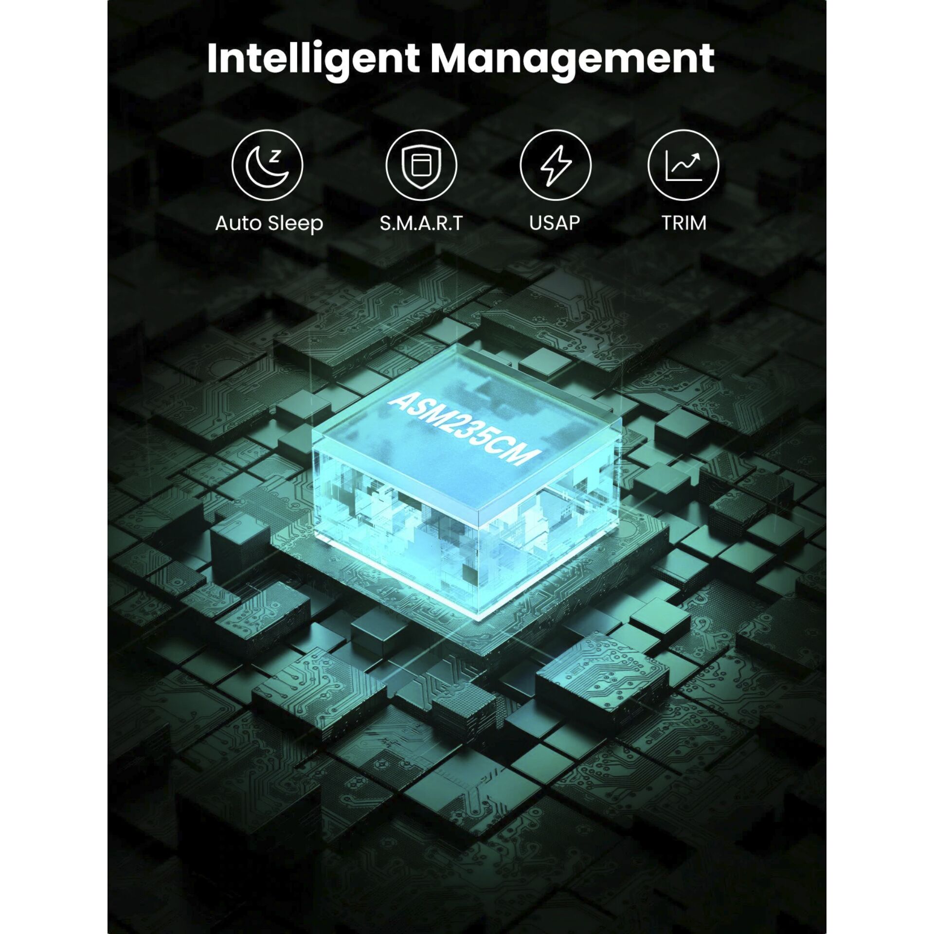 Architektur, Gebäude