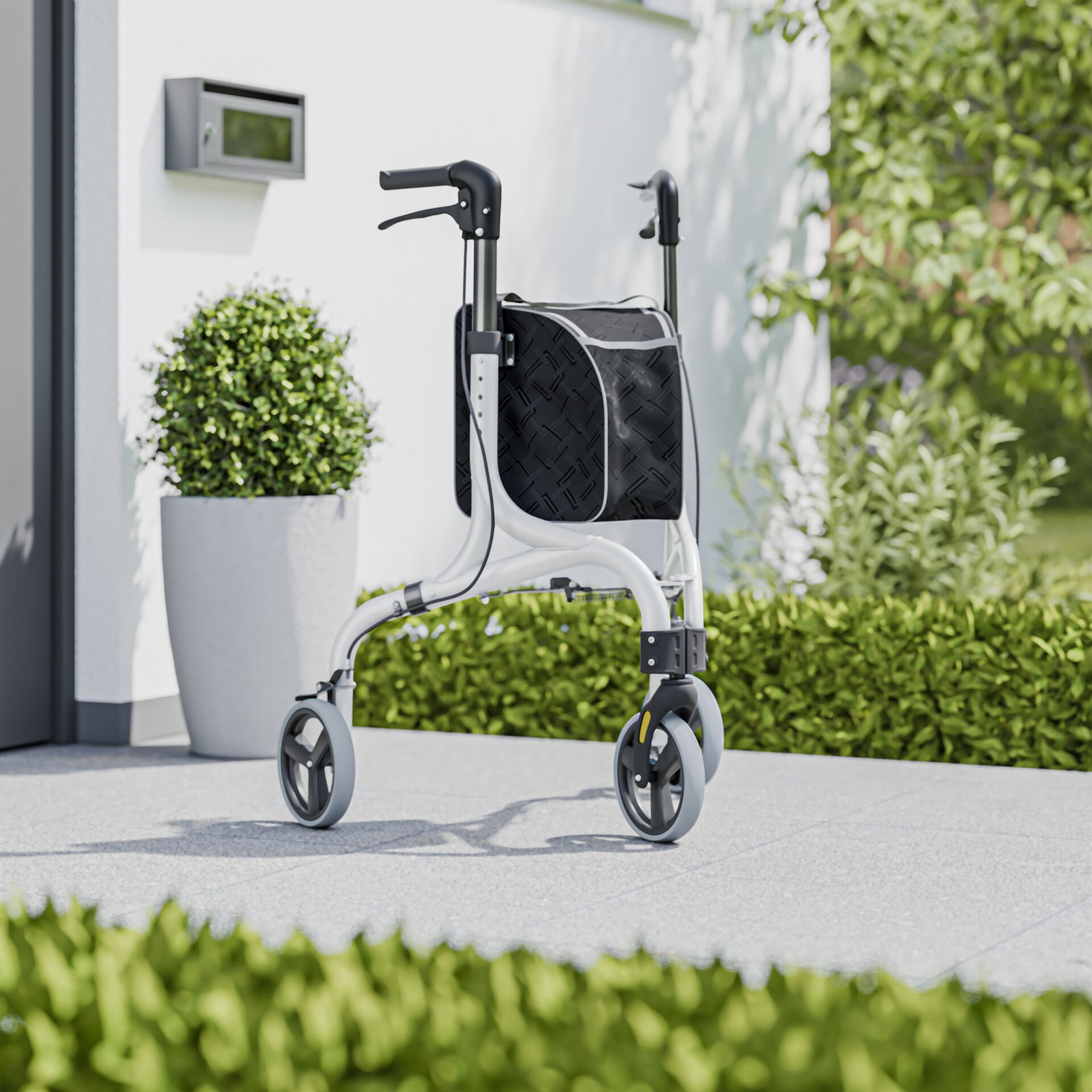 Pflanze, Pflanze im Topf, E-Scooter, Transport, Fahrzeug