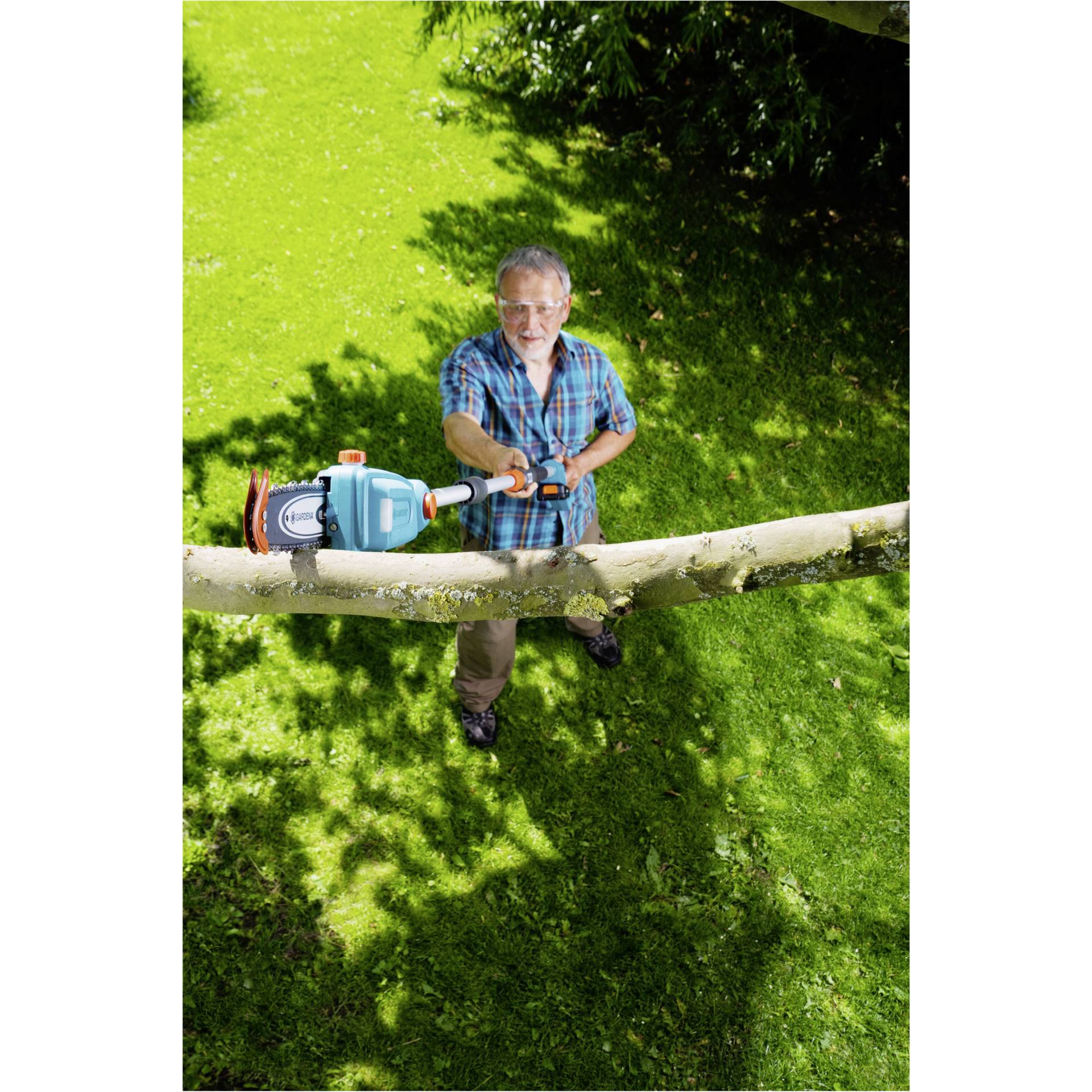 Gras, Photographie, Portrait, Rasen, Hinterhof