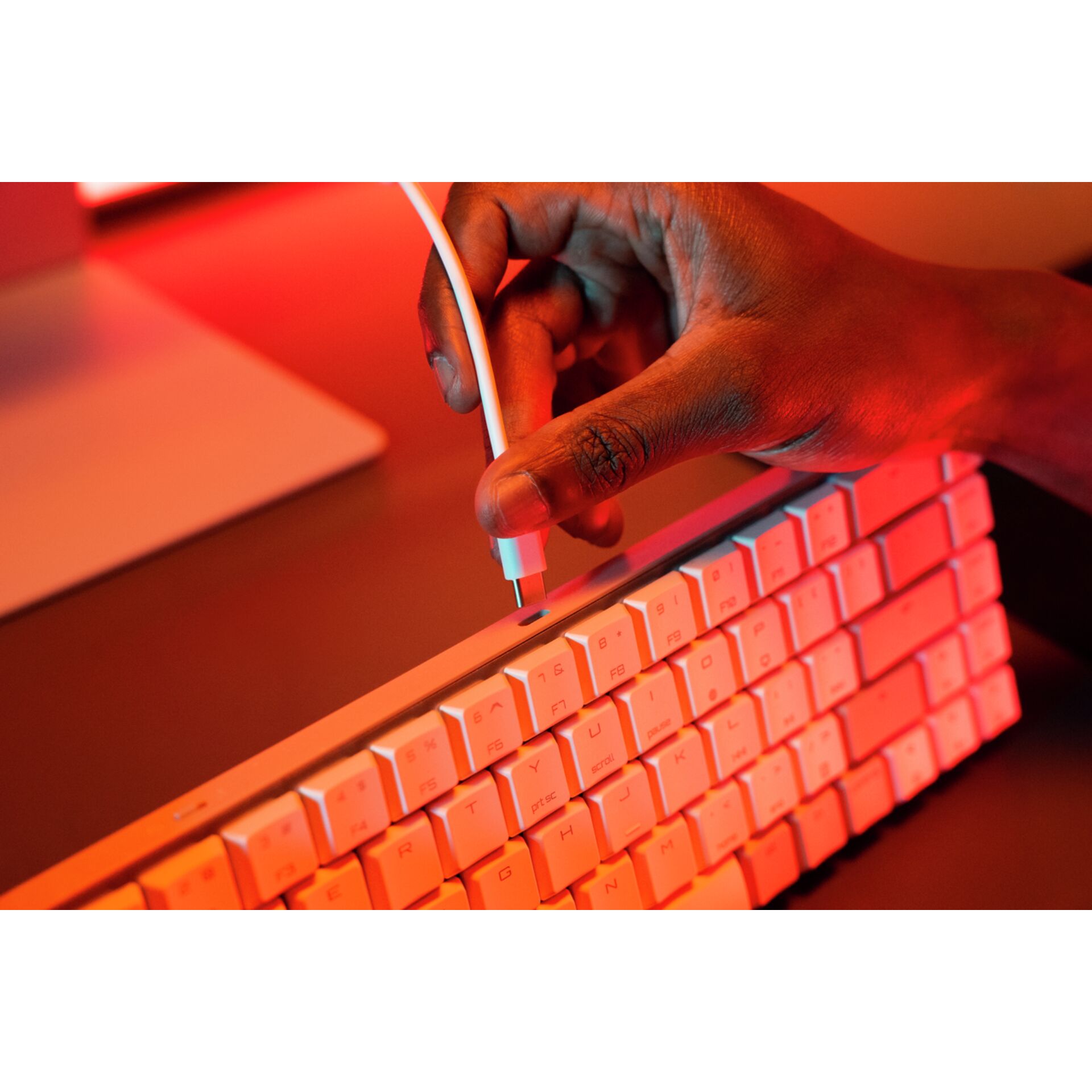 USB-C, Tastatur, Weiß, Kabelgebunden, Nahaufnahme