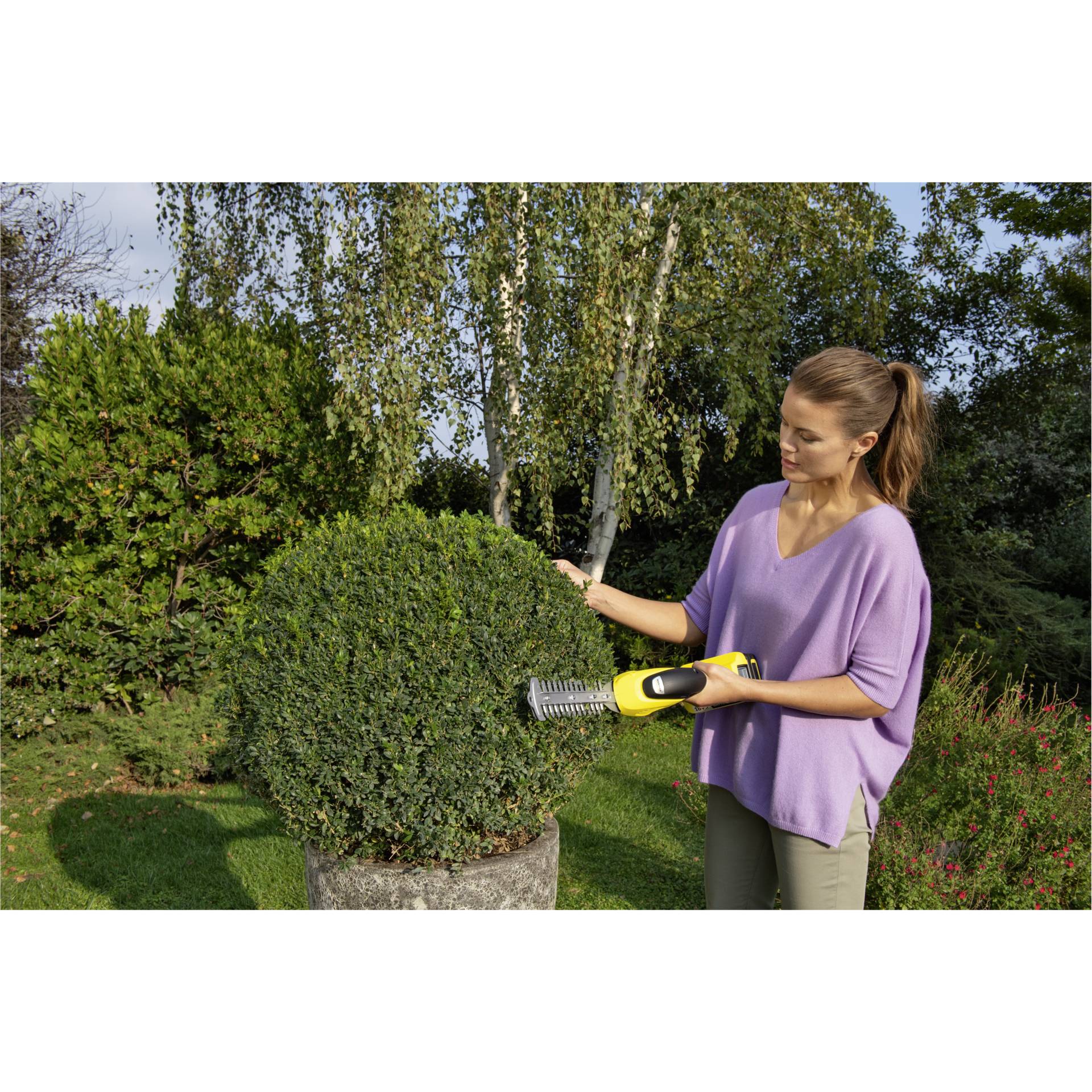 Garten, Natur, Draußen, Gartenarbeit, Gras