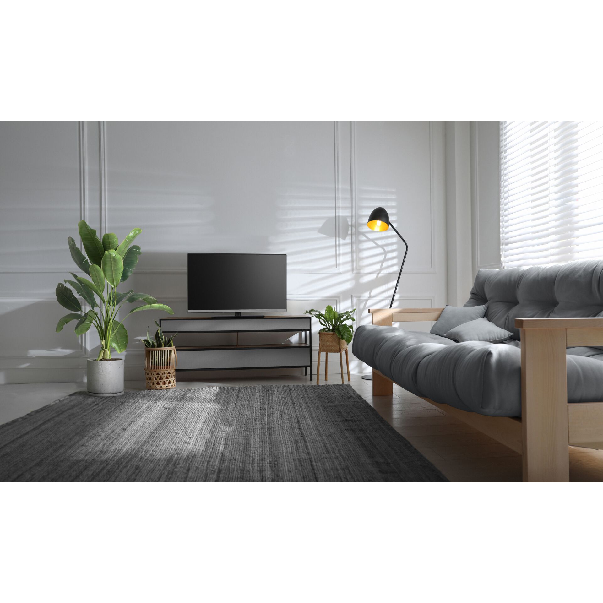 Innenarchitektur, Wohnzimmer, Überwachen, Bildschirm, Pflanze