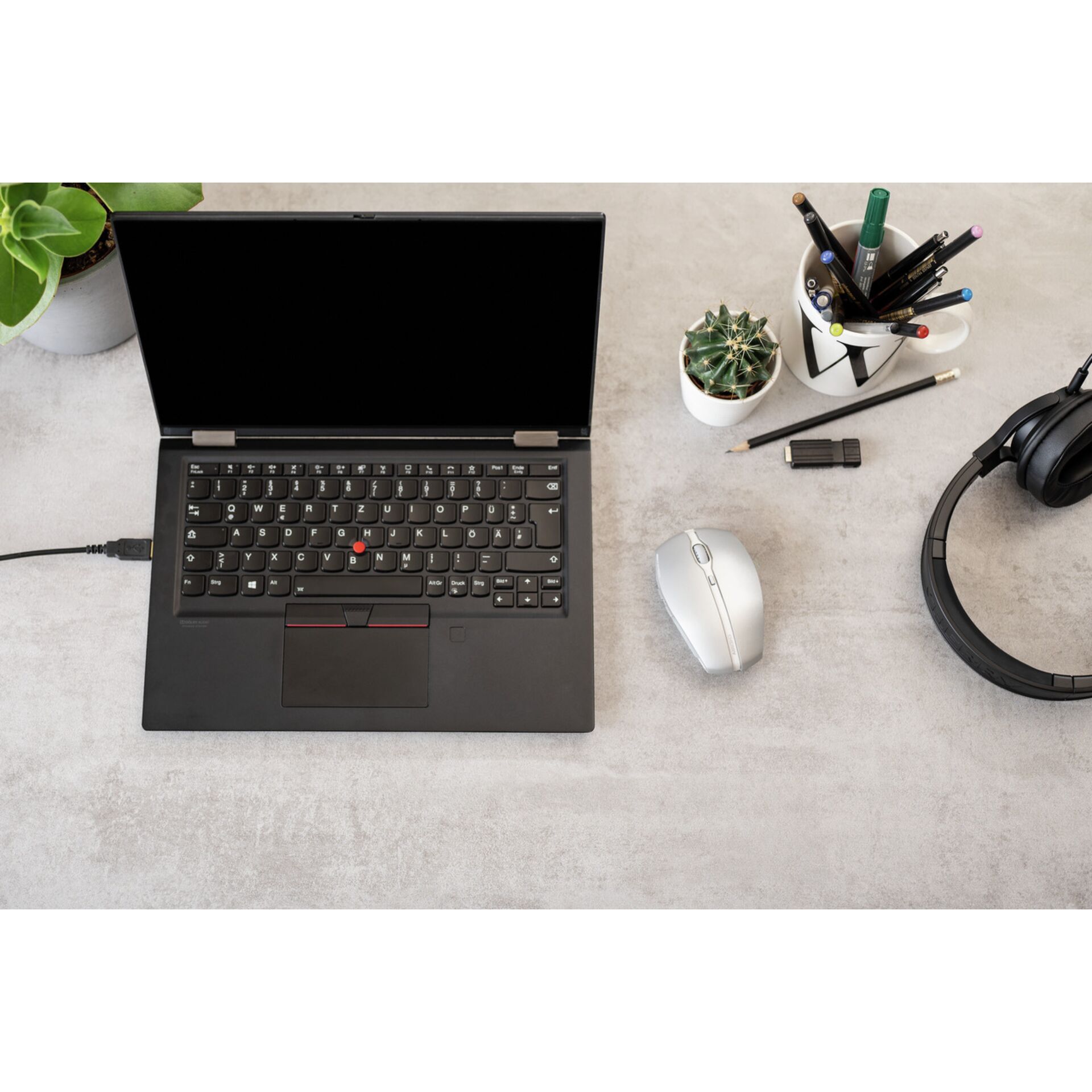 Computer, Elektronik, Laptop, PC, Pflanze