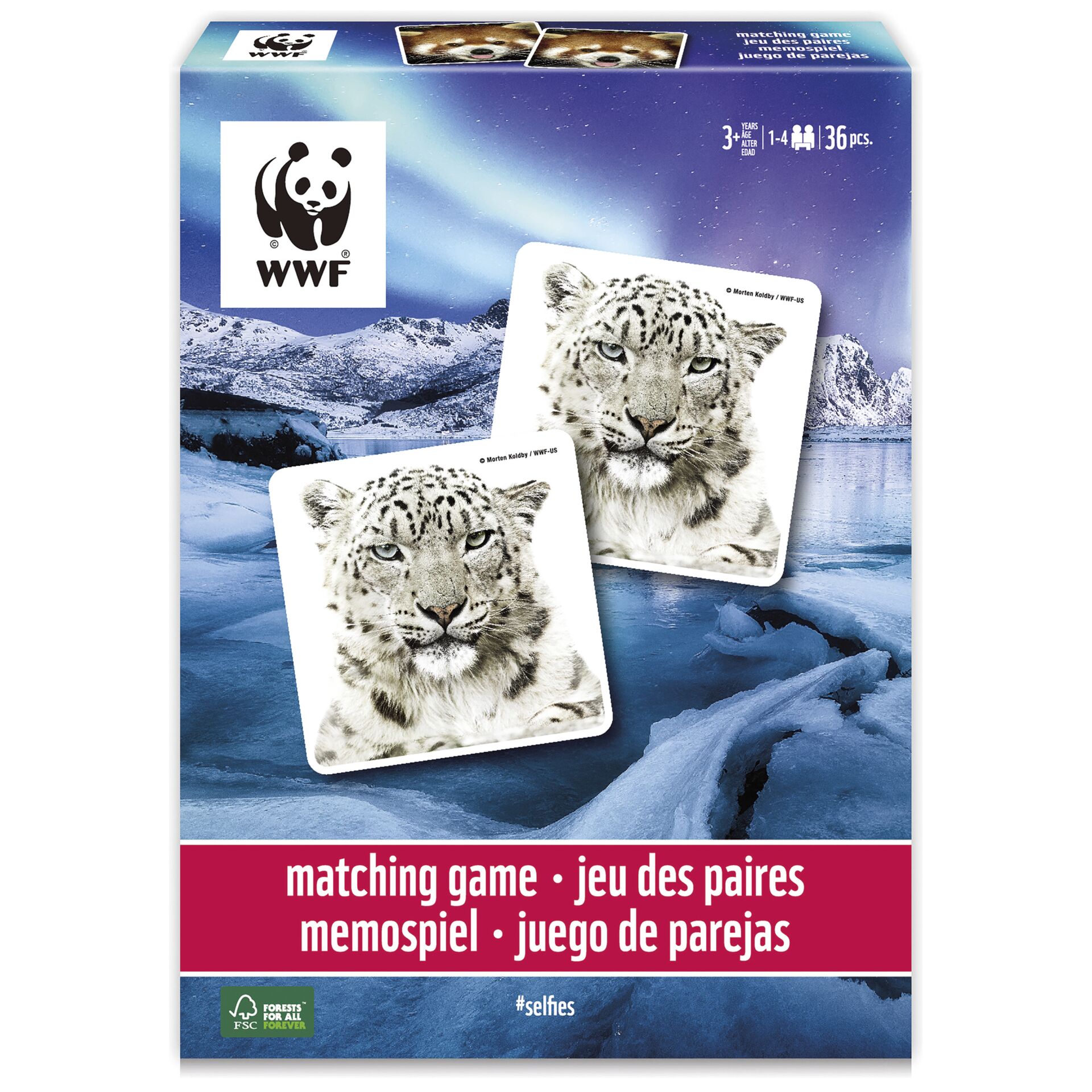 Tier, Säugetier, Panther, Tierwelt, Schneeleopard