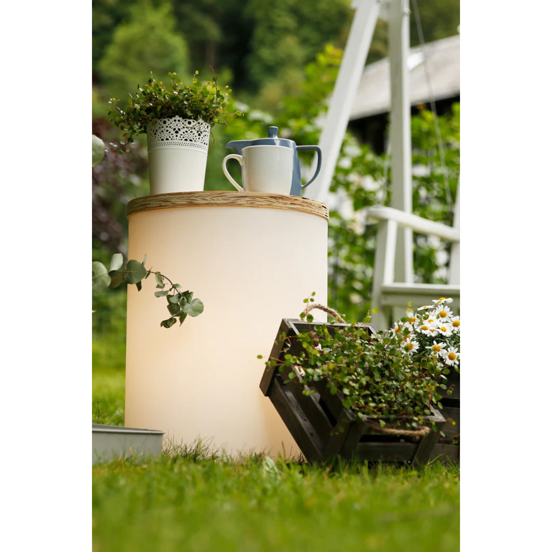 Topfpflanze, Innenarchitektur, Töpferei, Krug, Pflanzgefäß