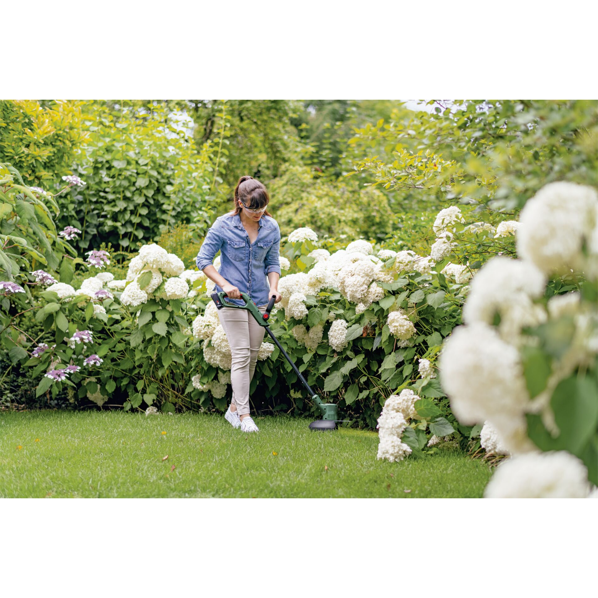 Gras, Rasen, Pflanze, Gerät, Person