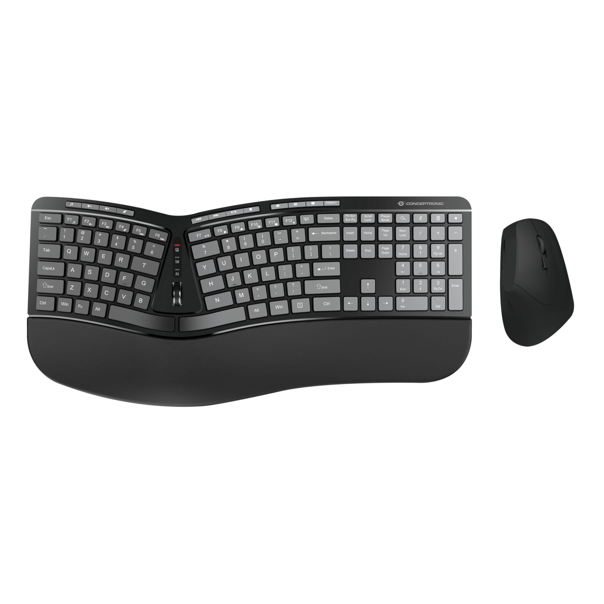 Conceptronic ORAZIO02US  Ergnomische Tastatur- und Maus
