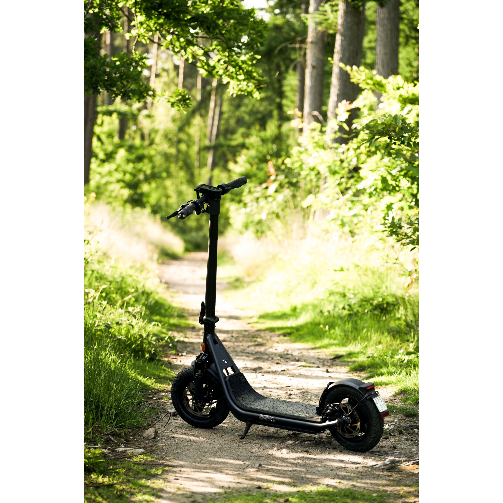 Elektroroller, E-Scooter, Schwarz, Gabel, Trail?