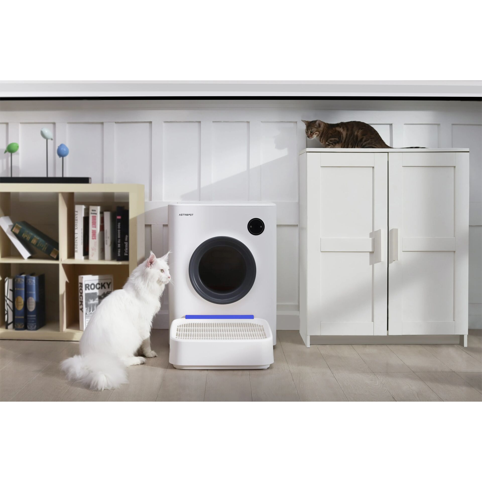 Gerät, Elektrisches Gerät, Waschmaschine, Drinnen, Innenarchitektur