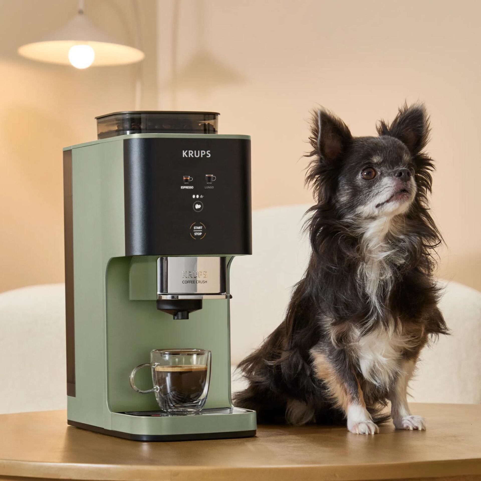 Kaffeemaschine, Espresso, Kaffeezubereitung, Kompaktgerät, Tischgerät