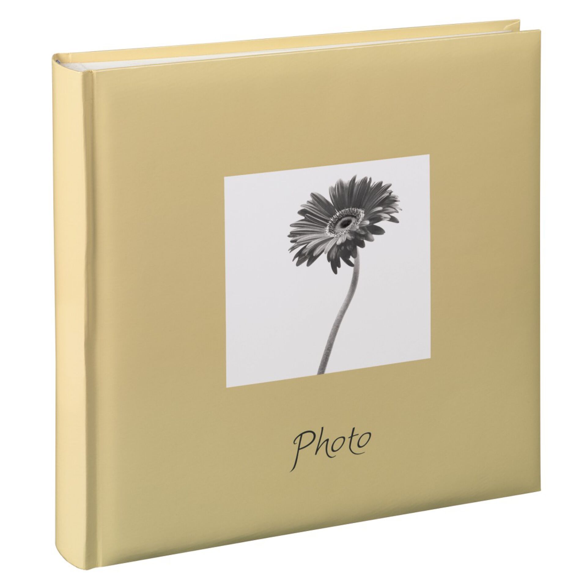 Kiste, Blume, Pflanze