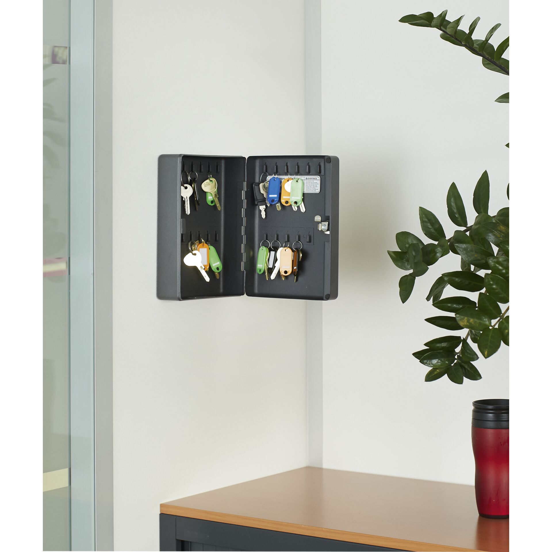 Pflanze, Pflanze im Topf, Drinnen, Innenarchitektur