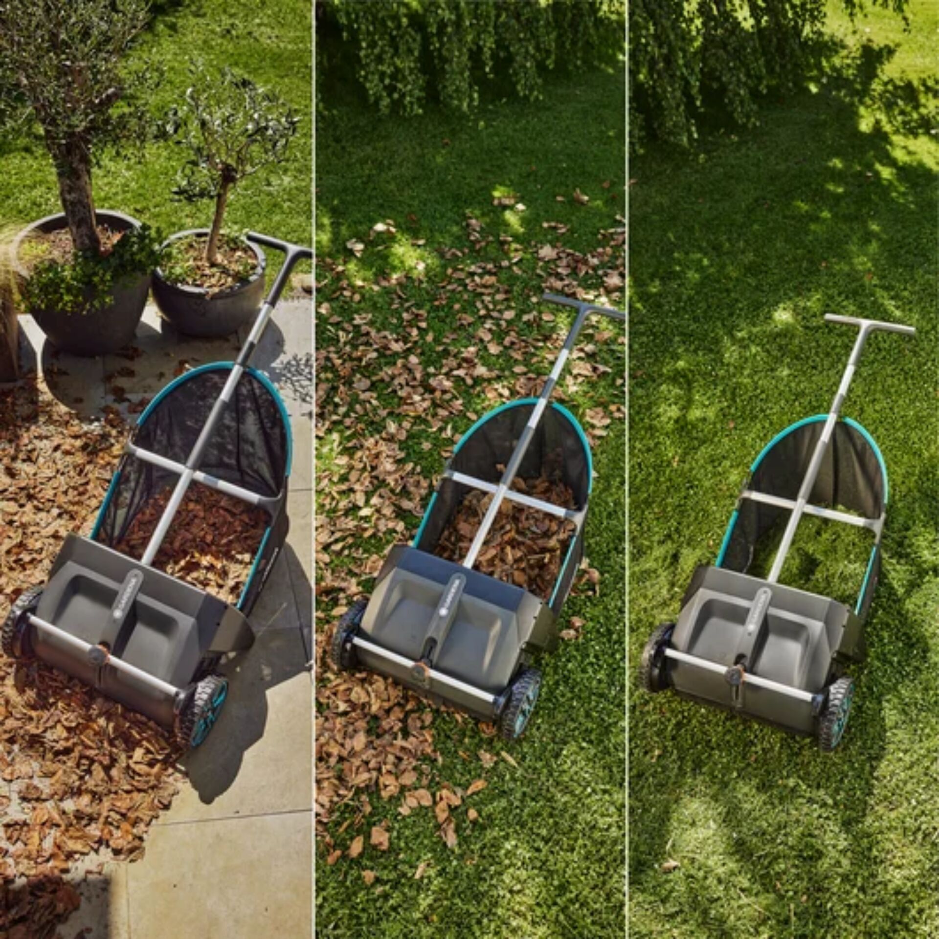 Gras, Pflanze, Rasen, Topfpflanze, Rasenmäher