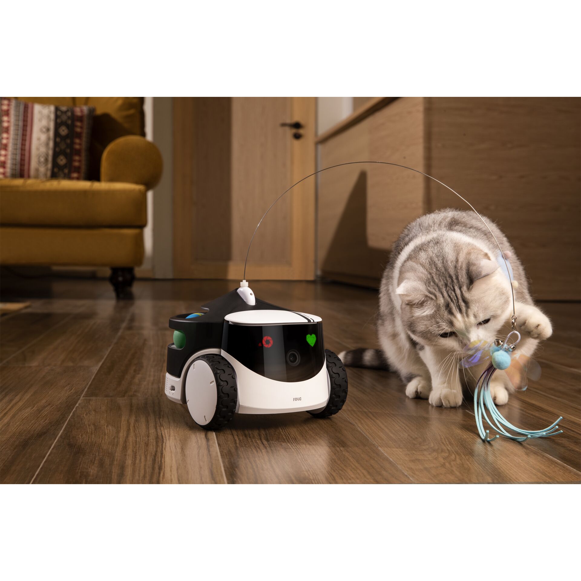 Holz, Innenarchitektur, Hartholz, Bodenbeläge, Couch, Holz, Innenarchitektur, Hartholz, Bodenbeläge, Couch