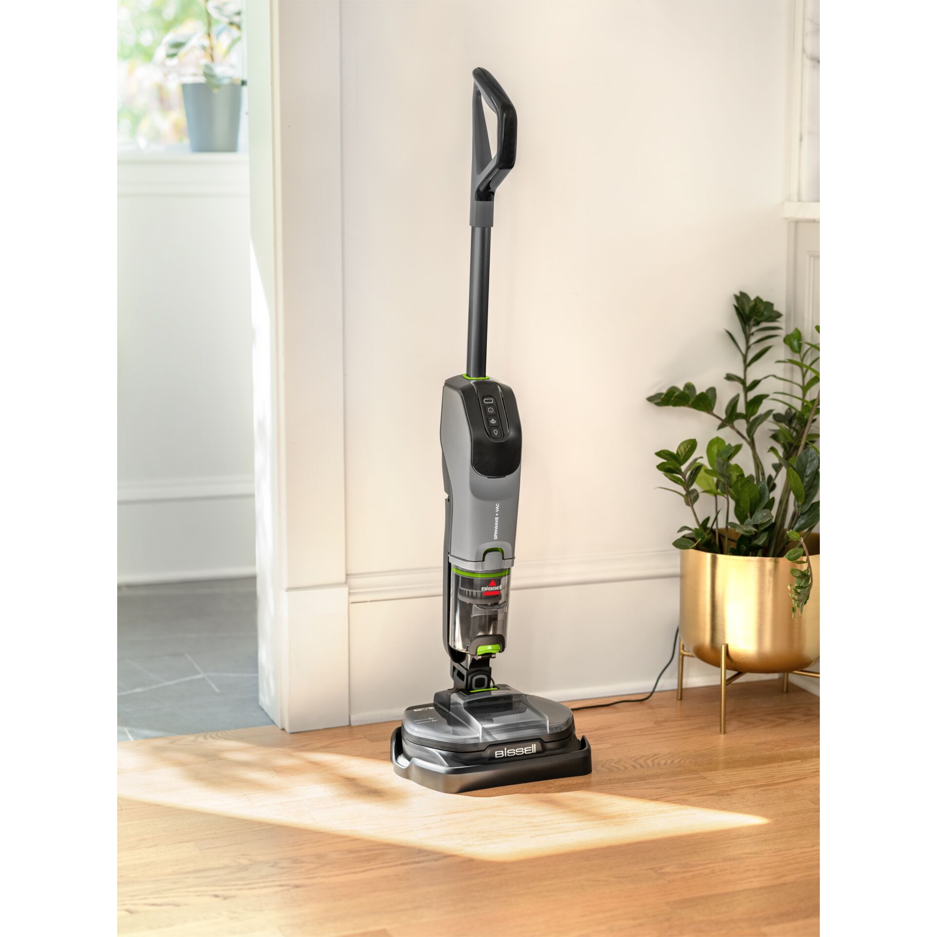 Gerät, Elektrisches Gerät, Staubsauger, Pflanze