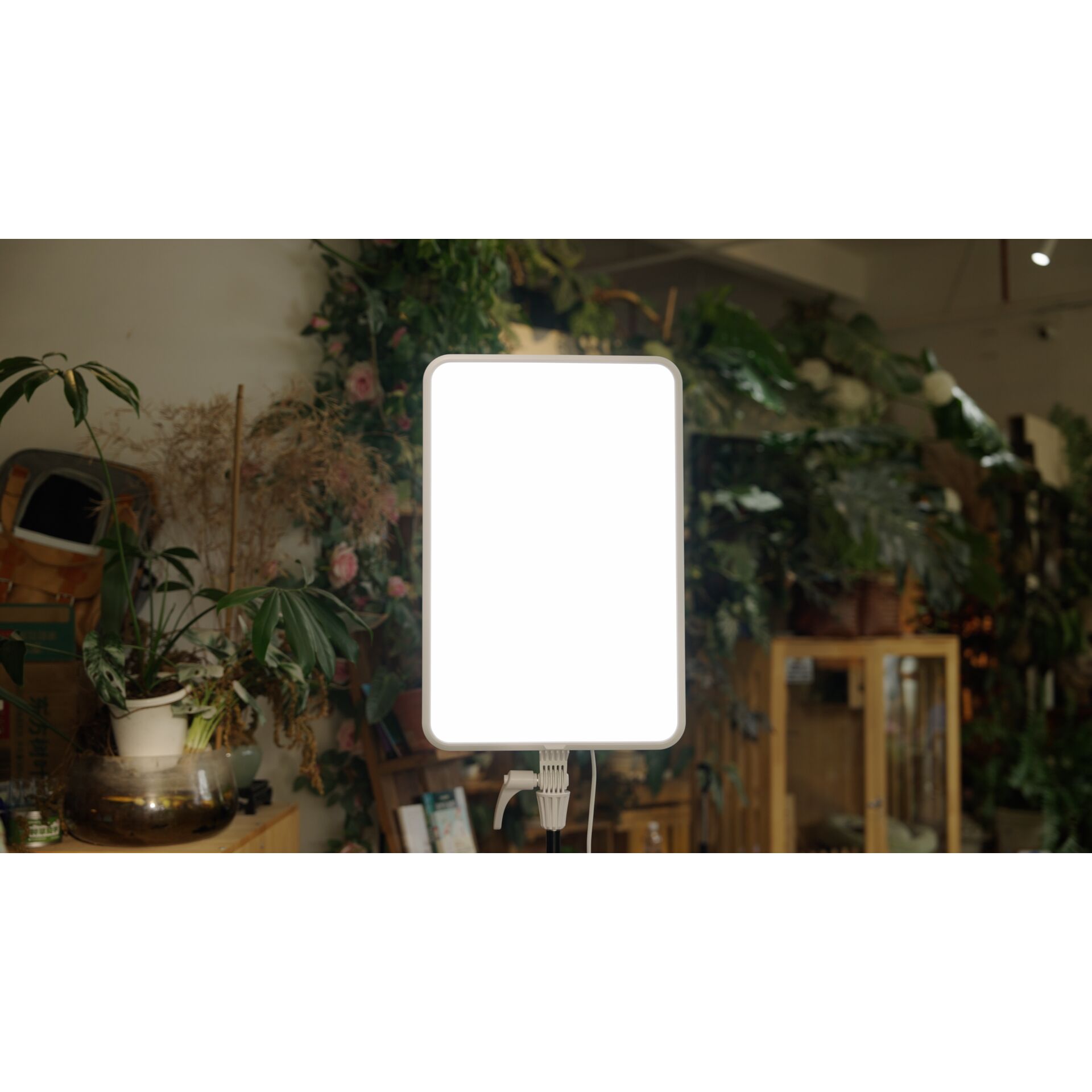 LED-Panel, Vlogging-Licht, Schwarz-Rahmen, Studio-Beleuchtung, Klemmstativ