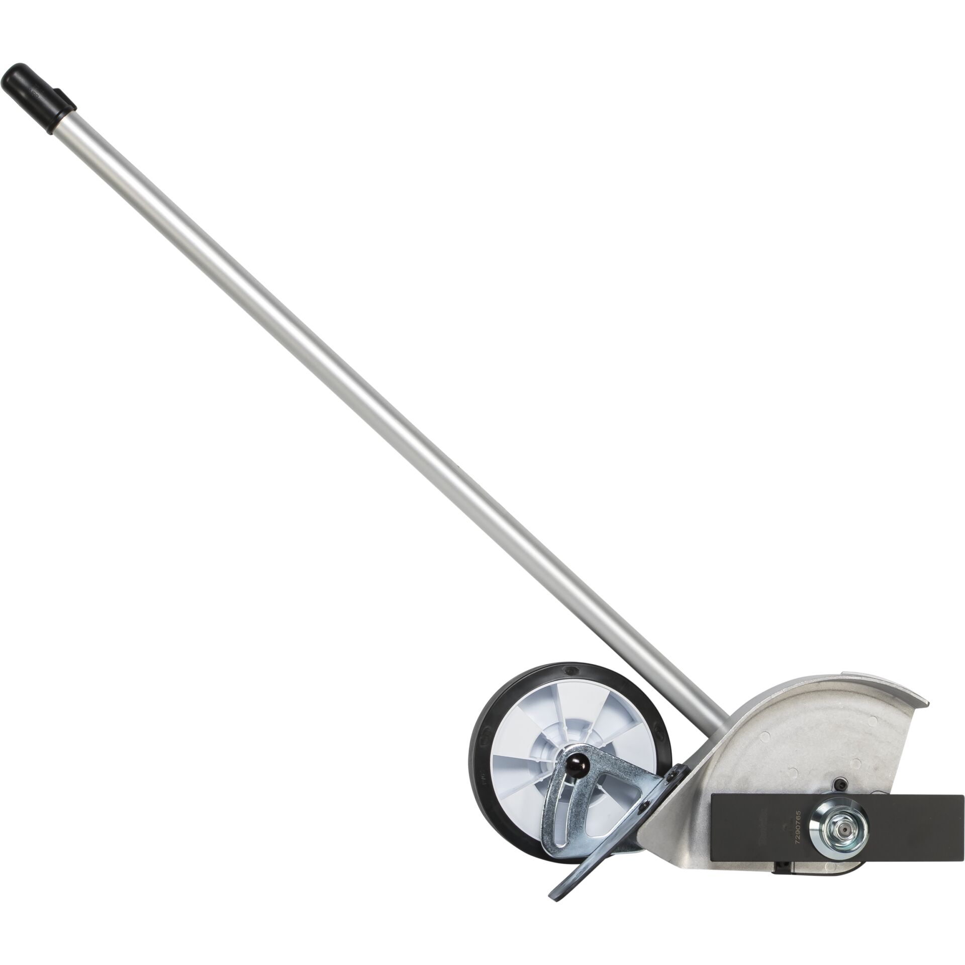 Gras, Pflanze, Rasen