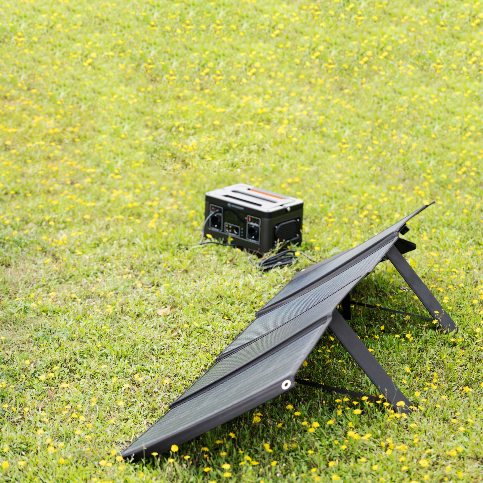 Gras, Pflanze, Rasen, Draußen, Unterschlupf