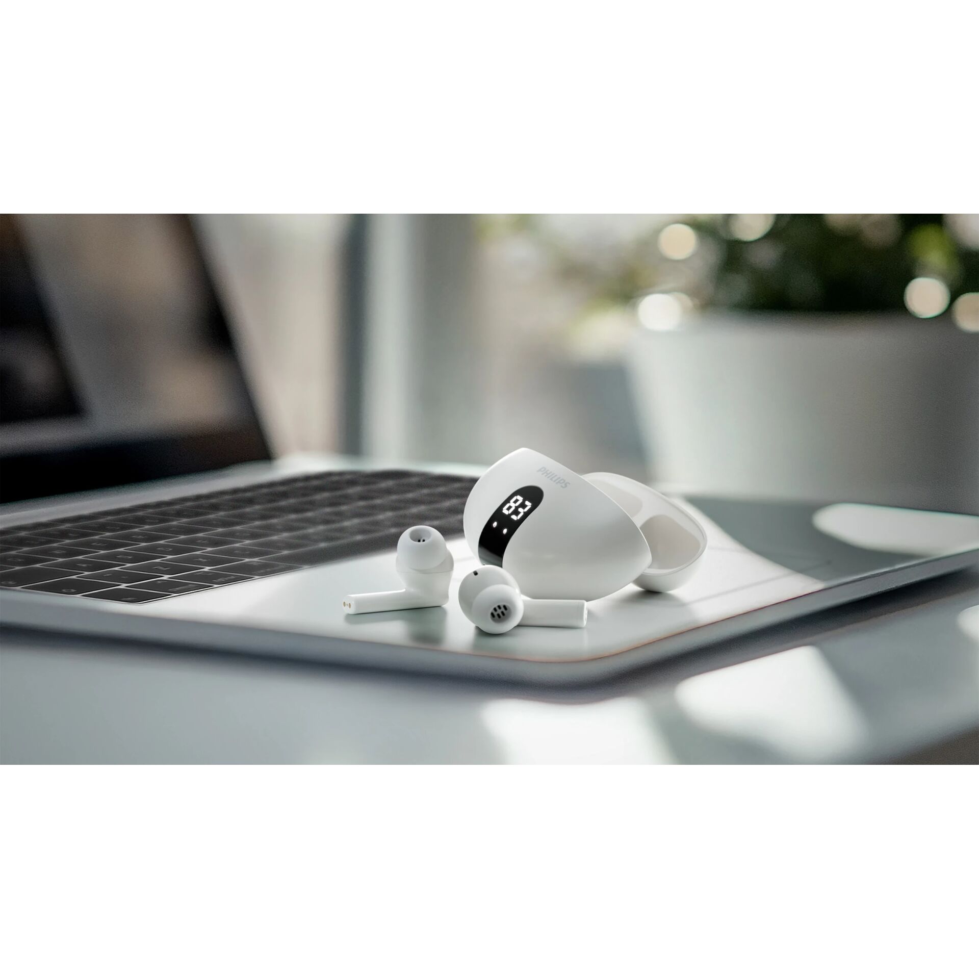 Elektronik, Laptop, PC, Drinnen, Innenarchitektur