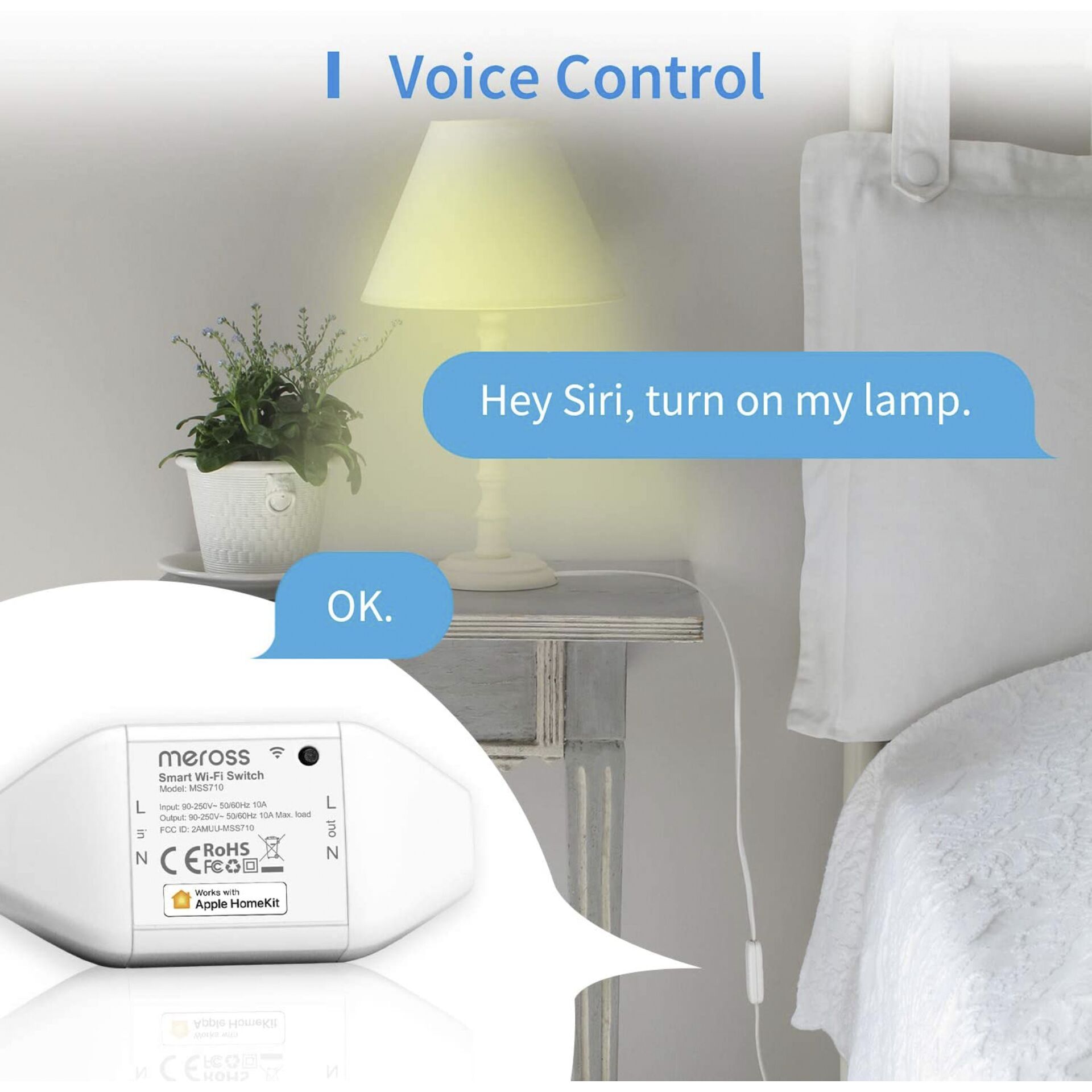 Lampe, Pflanze, Pflanze im Topf