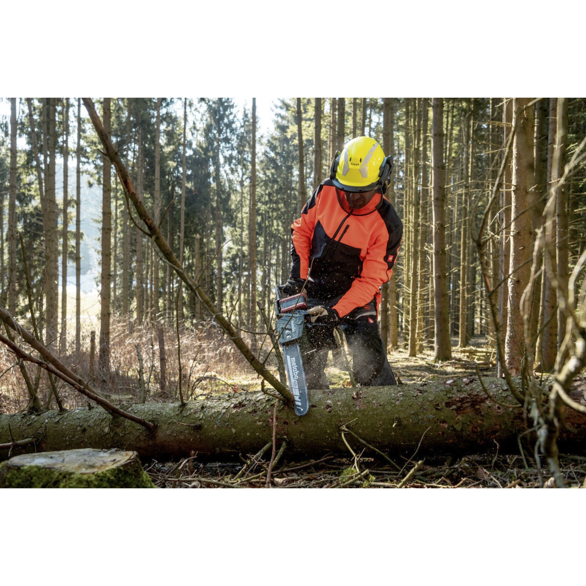 Schutzhelm, Helm, Person, Vegetation, Mantel