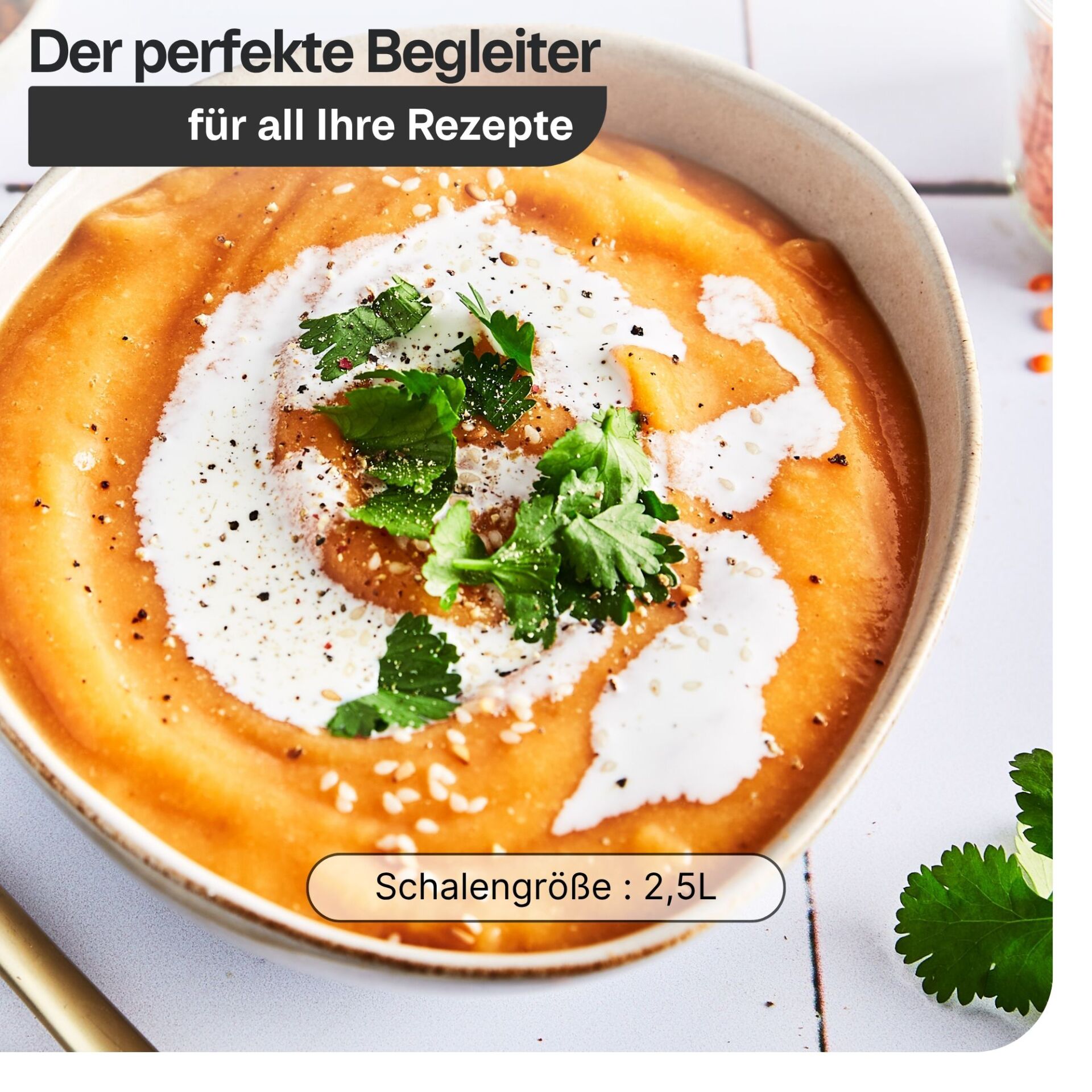 Suppe, Orangene Farbe, Kräuter, Saure Sahne, Schale 2,5L