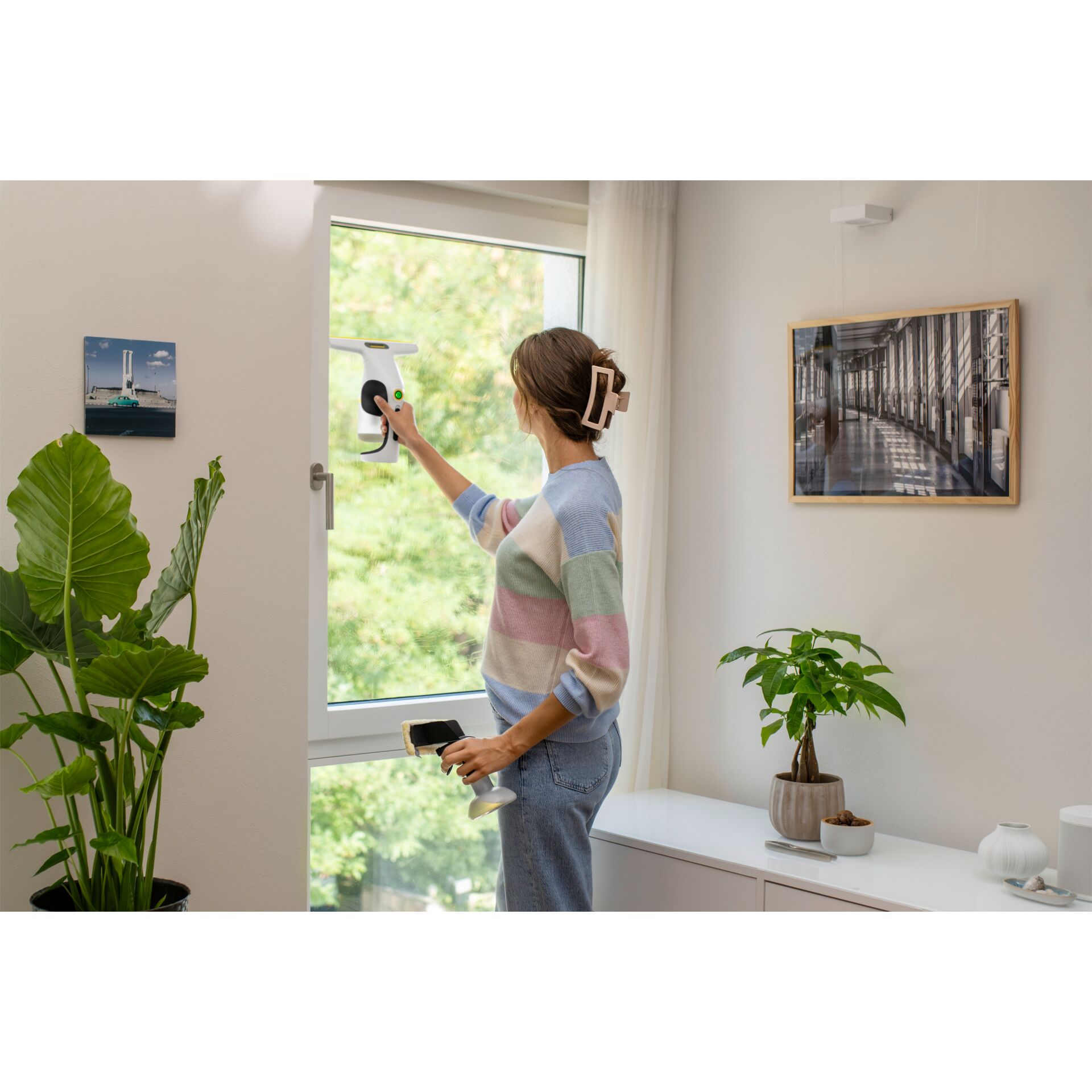 Handheld steamer, Window cleaning, Home appliance, Cordless device, Green plant in room