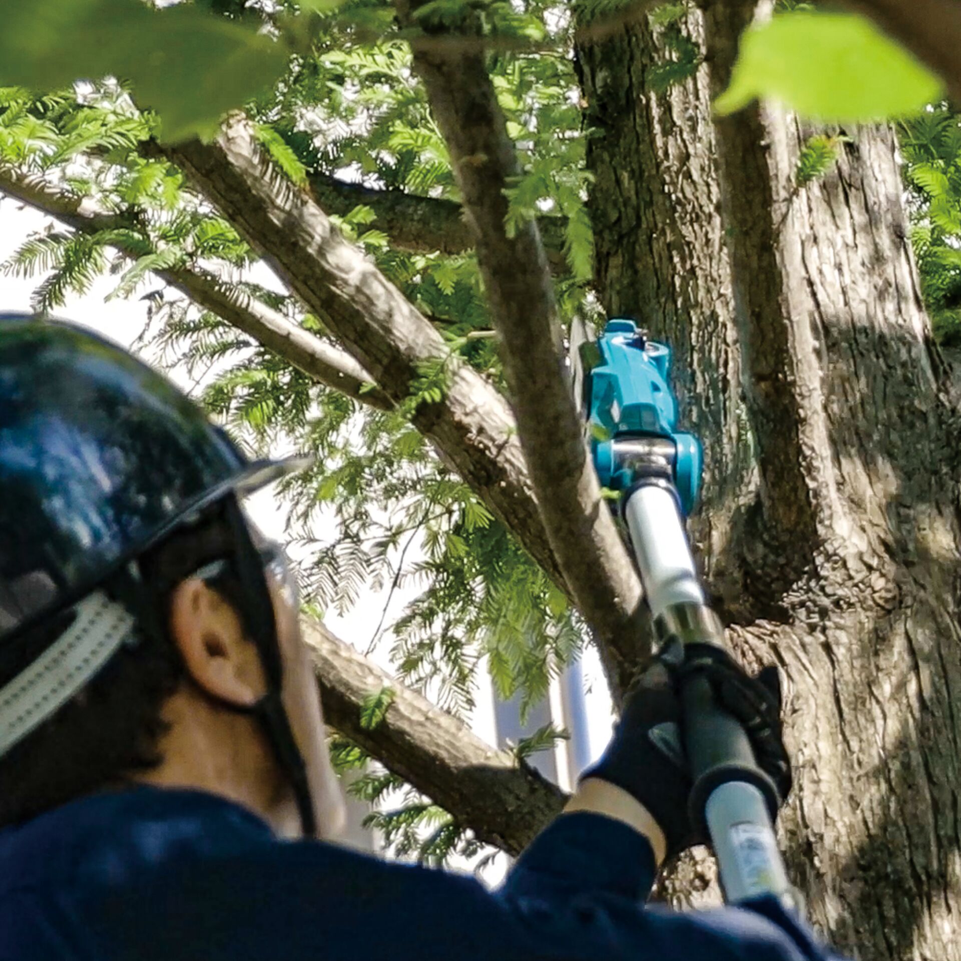 Baum, Photographie, Erwachsener, Mann, Person