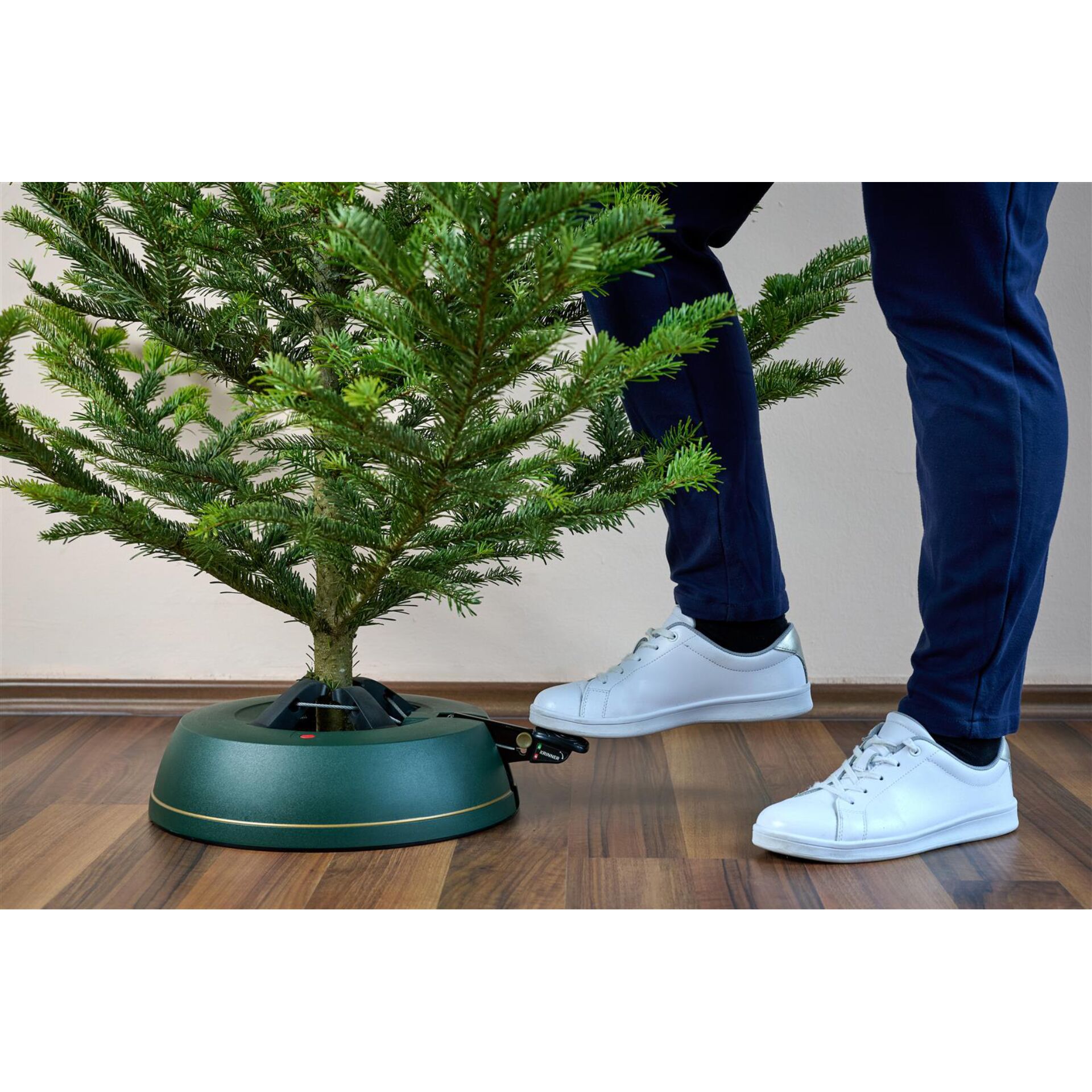 Pflanze, Baum, Schuh, Sneaker, Pflanze im Topf