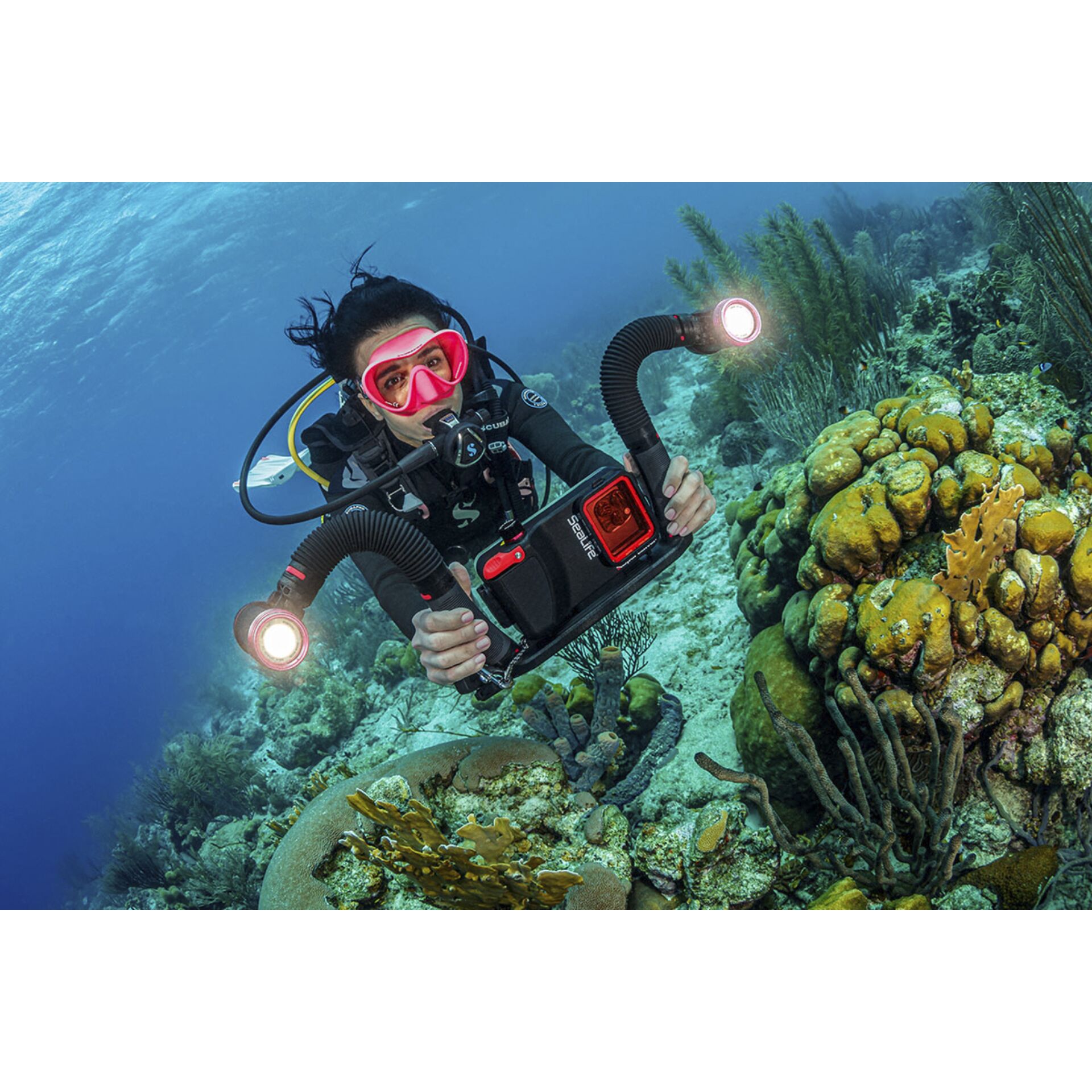 Natur, Draußen, Wasser, Meer, Riff