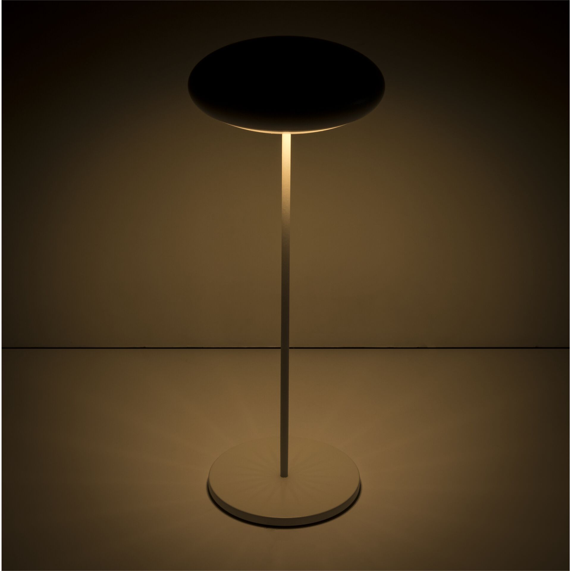 Lampe, Lampenschirm