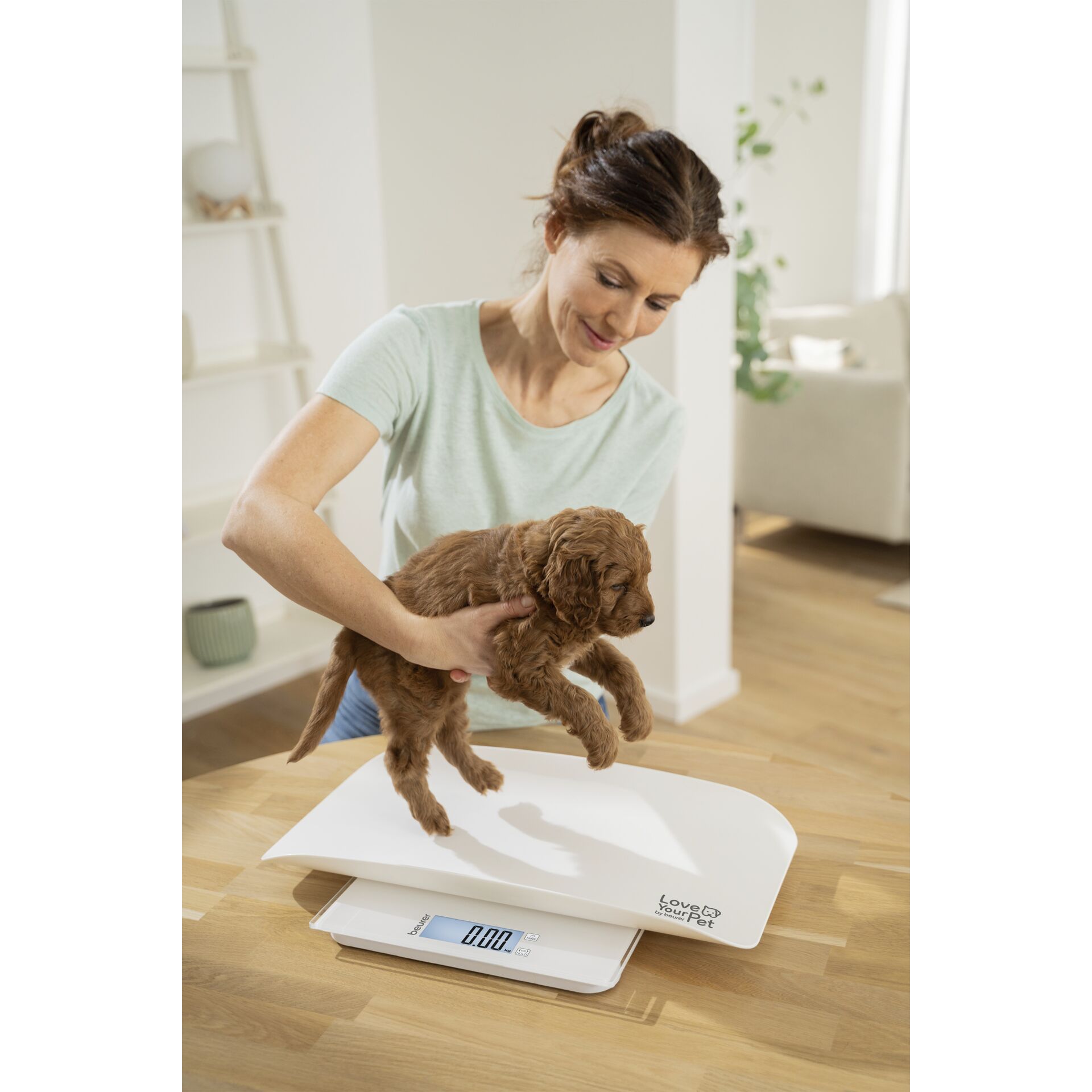 Erwachsener, Weiblich, Person, Frau