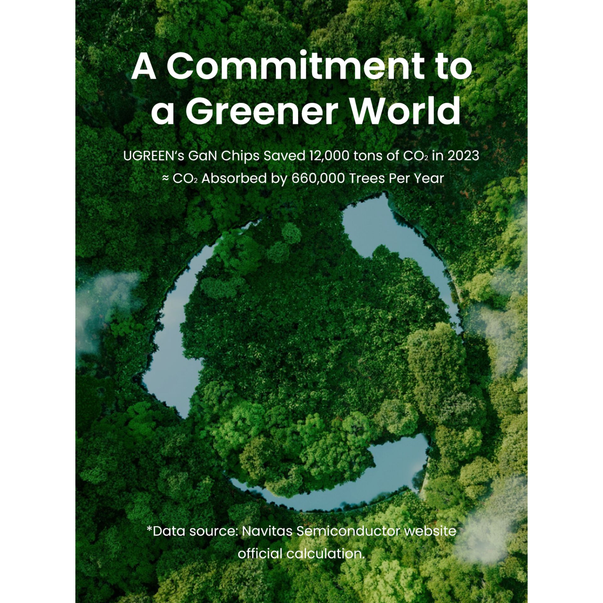 Pflanzenwuchs, Land, Natur, Draußen, Regenwald