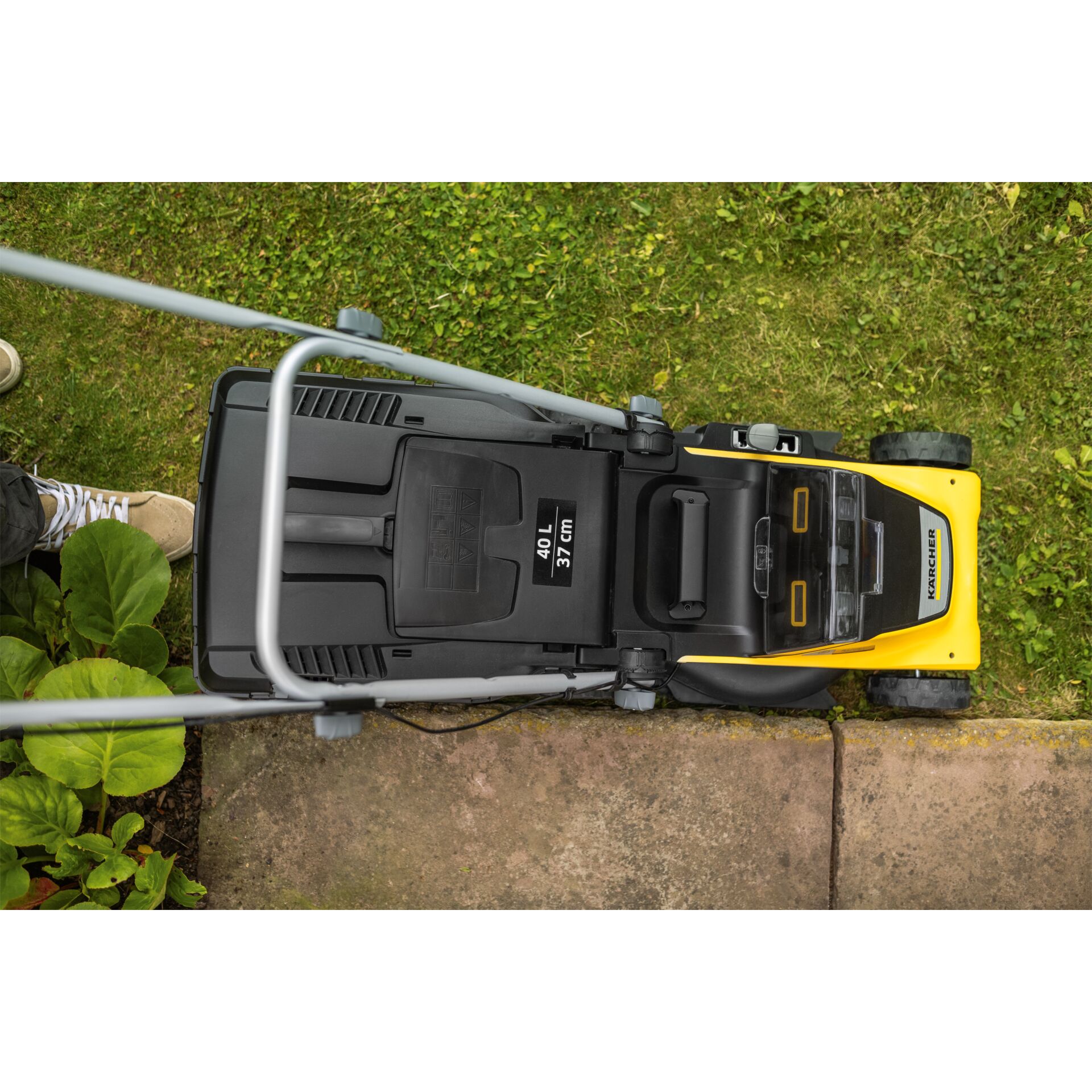 Gras, Rasen, Pflanze, Gerät, Rasenmäher